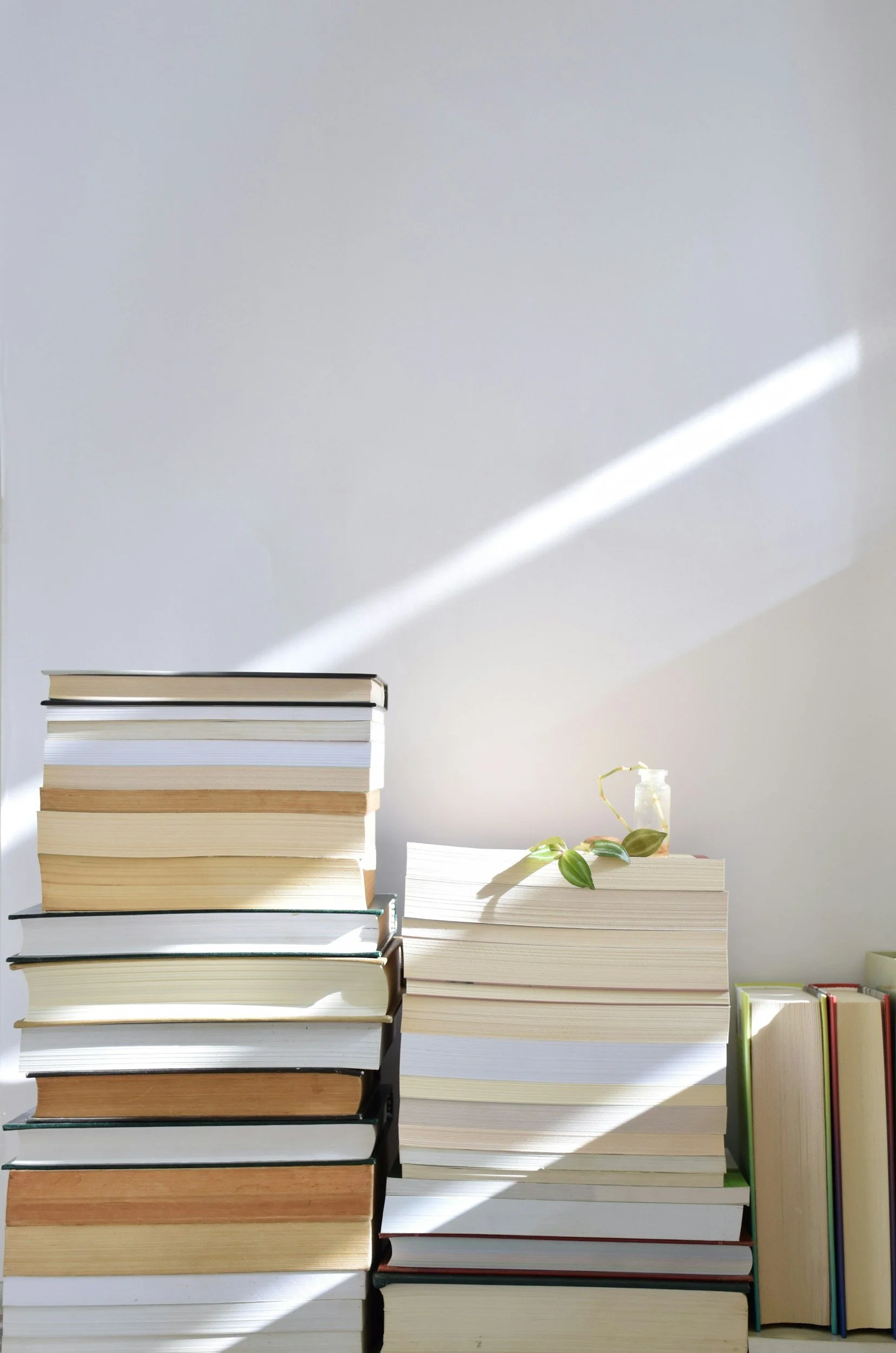 Stacked books on various subjects with a plant and a spray bottle on a white surface, illuminated by natural light from the right.