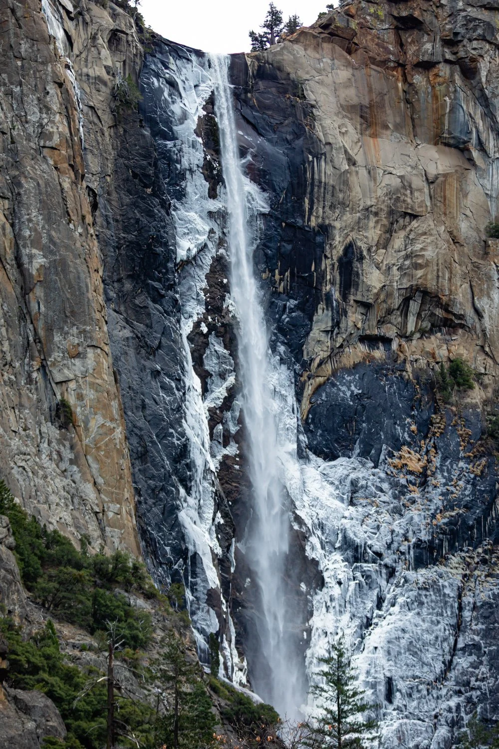 Ryan Norero Photography_Website_norero_20191217_176.jpg