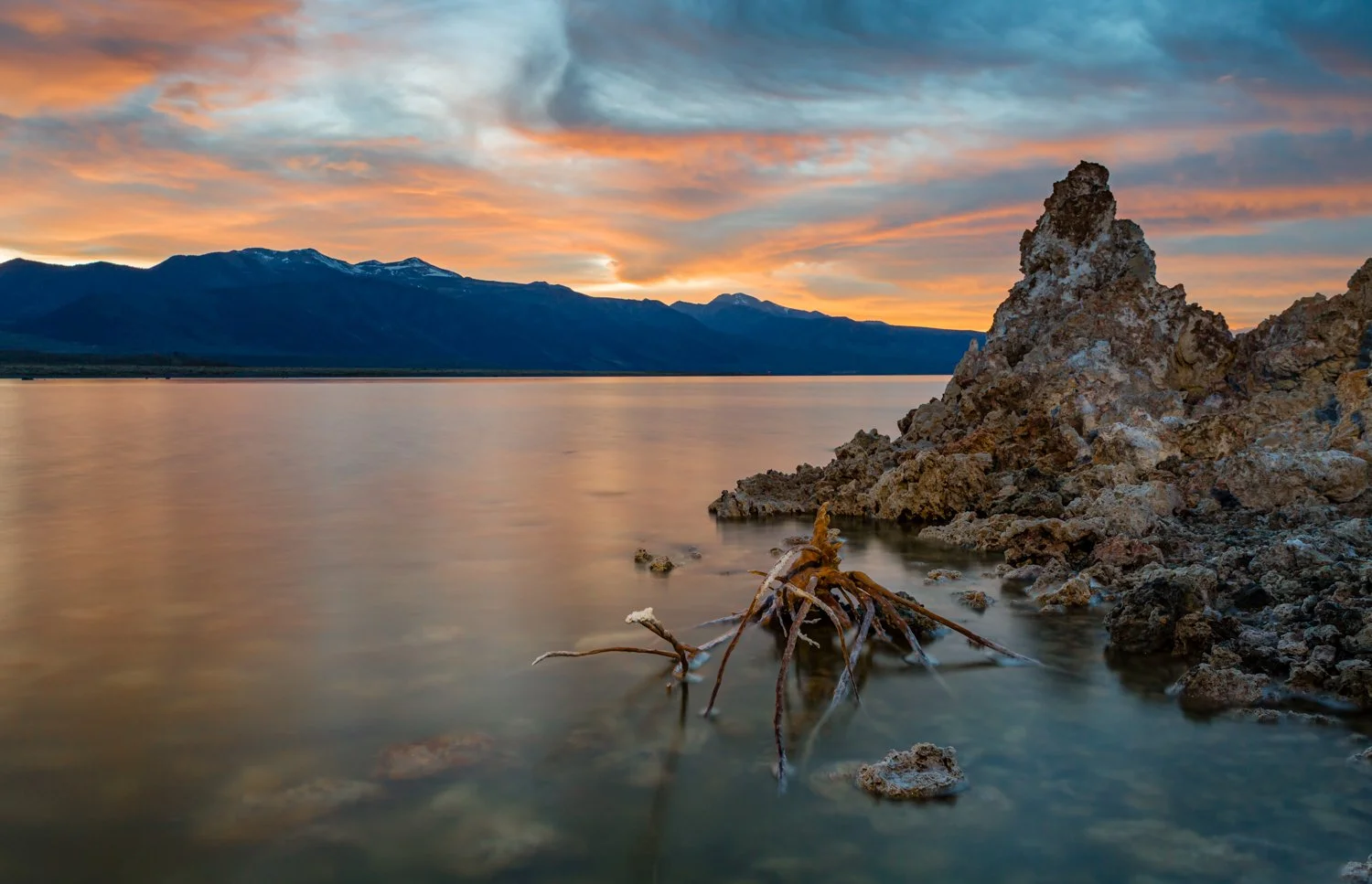 Ryan Norero Photography_Website_norero_20150503_063.jpg