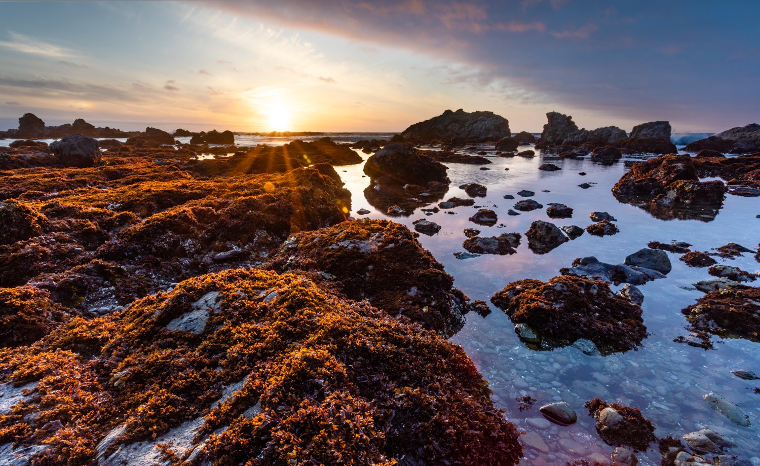 Ryan Norero Photography_Website_norero_20180518_033-Edit.jpg