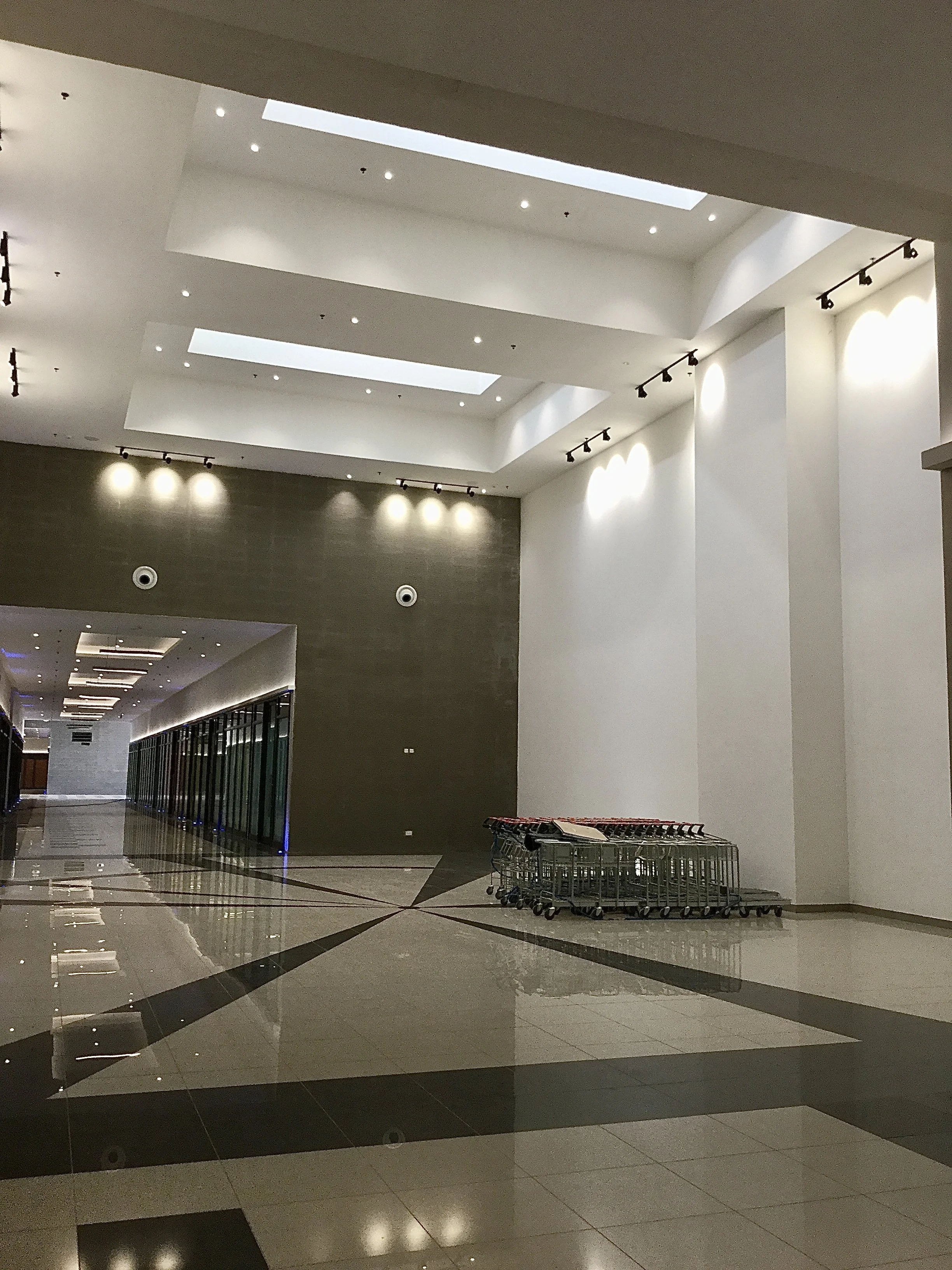 An empty airport terminal with a row of luggage carts and a reflective marble floor. The ceiling has modern lighting and skylights.