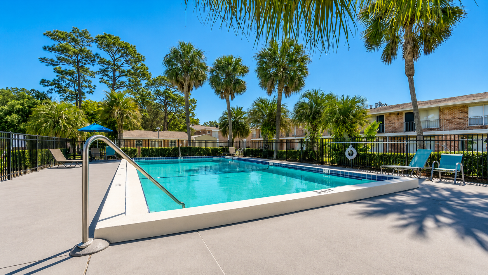 outdoor photo of swimming pool and palm trees