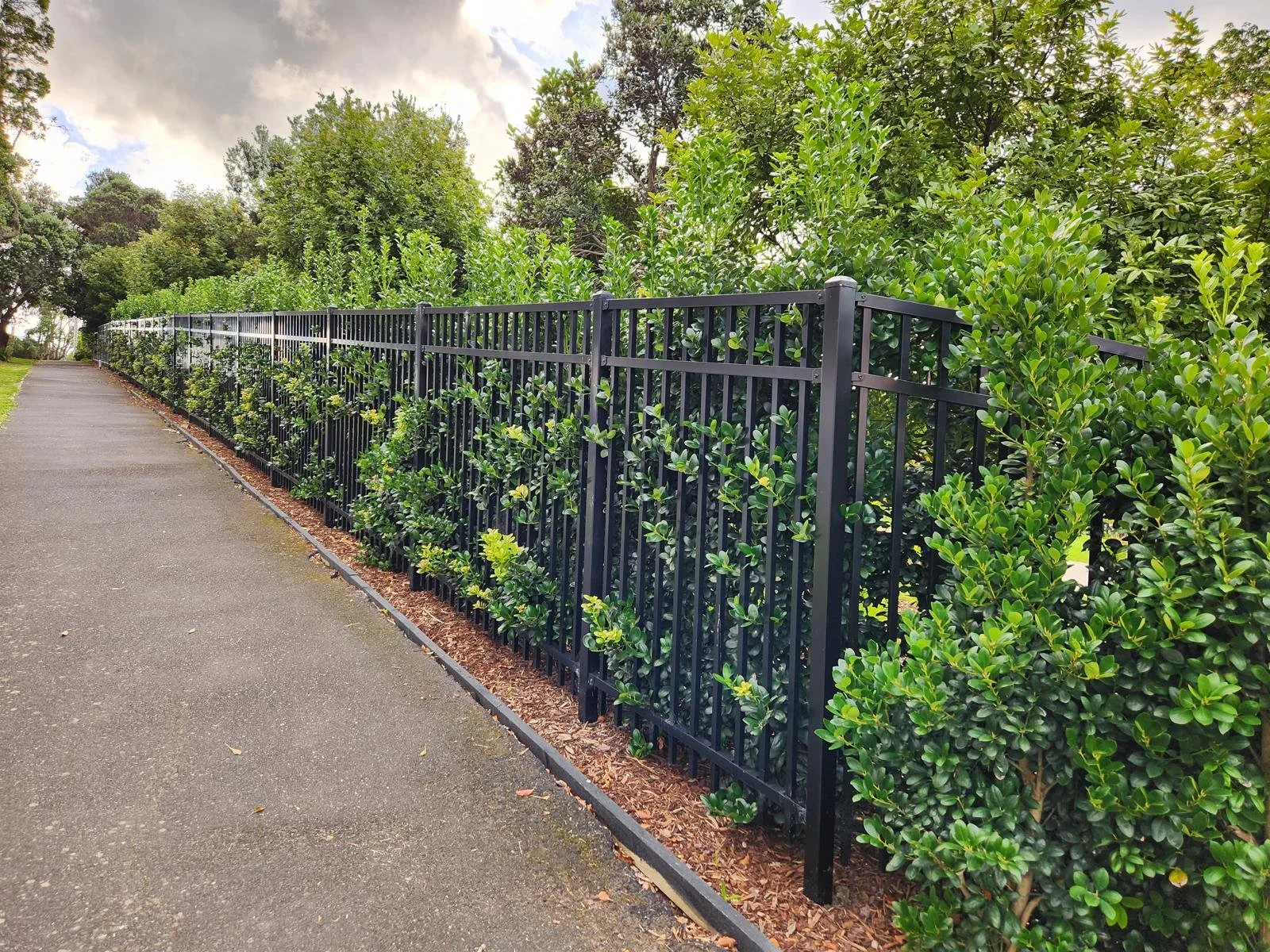 Black metal fence running parallel to a sidewalk, with dense green bushes and trees behind it, under cloudy sky.