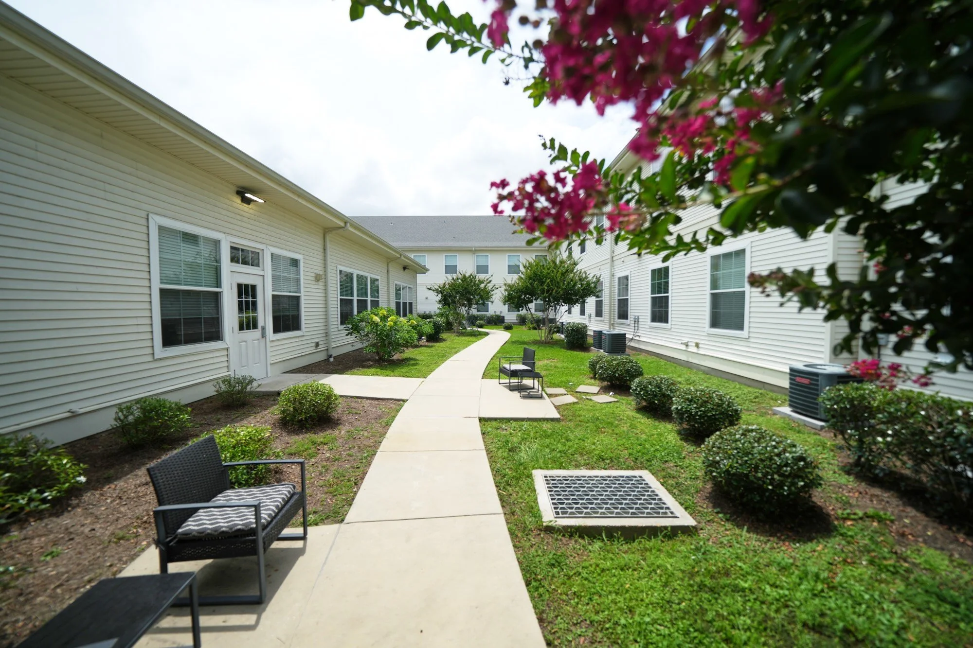 view of courtyard path lined with bushes