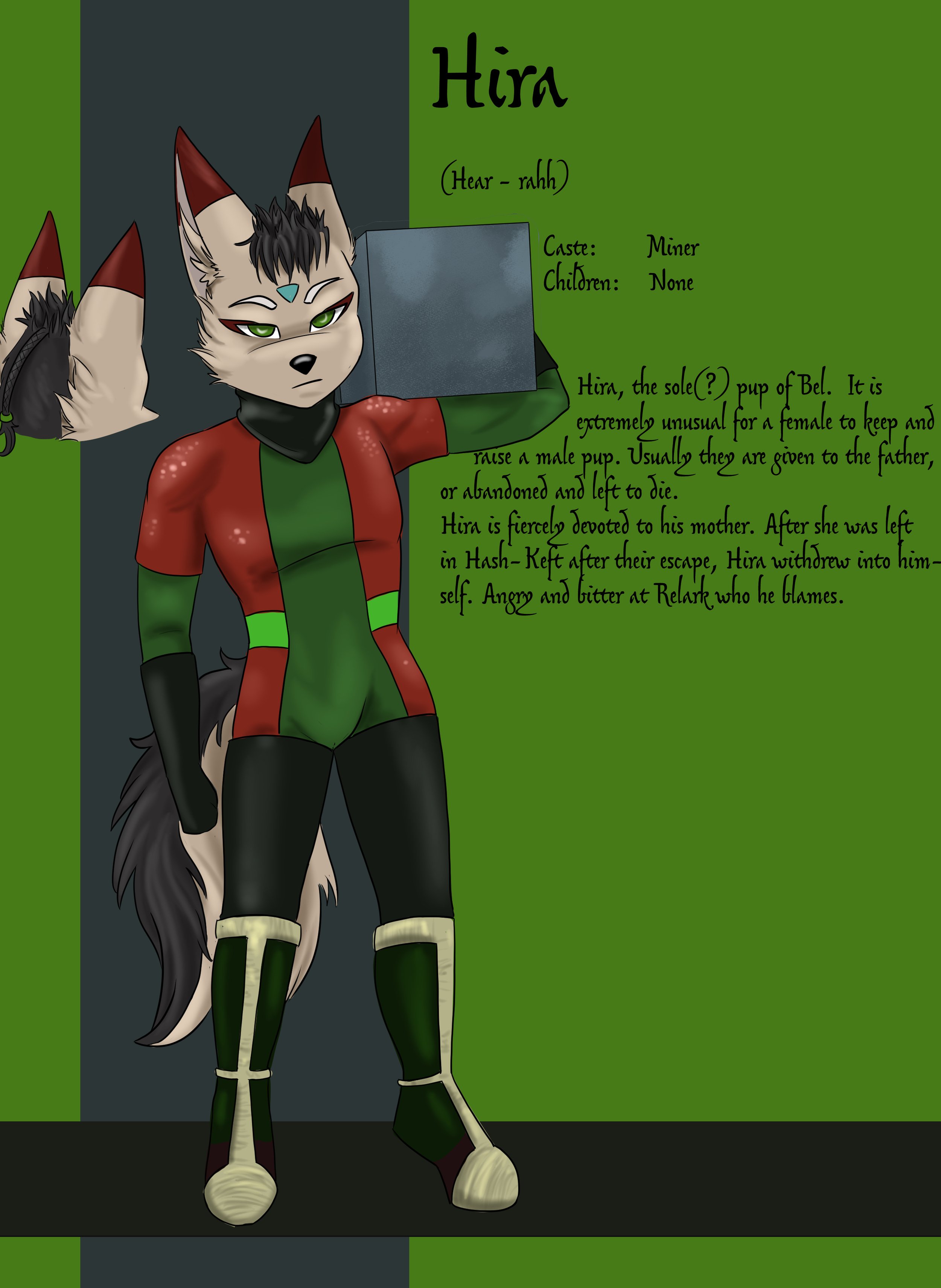 An anthropomorphic jackal character with gray fur, black hair, and green eyes, wearing a red and green outfit with black gloves and boots, standing against a dark background with green accents, holding a metal square to its face.