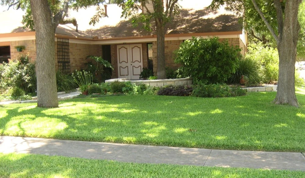 Front yard of a house with a grass lawn, two large trees, bushes, and a walkway leading to the front door.