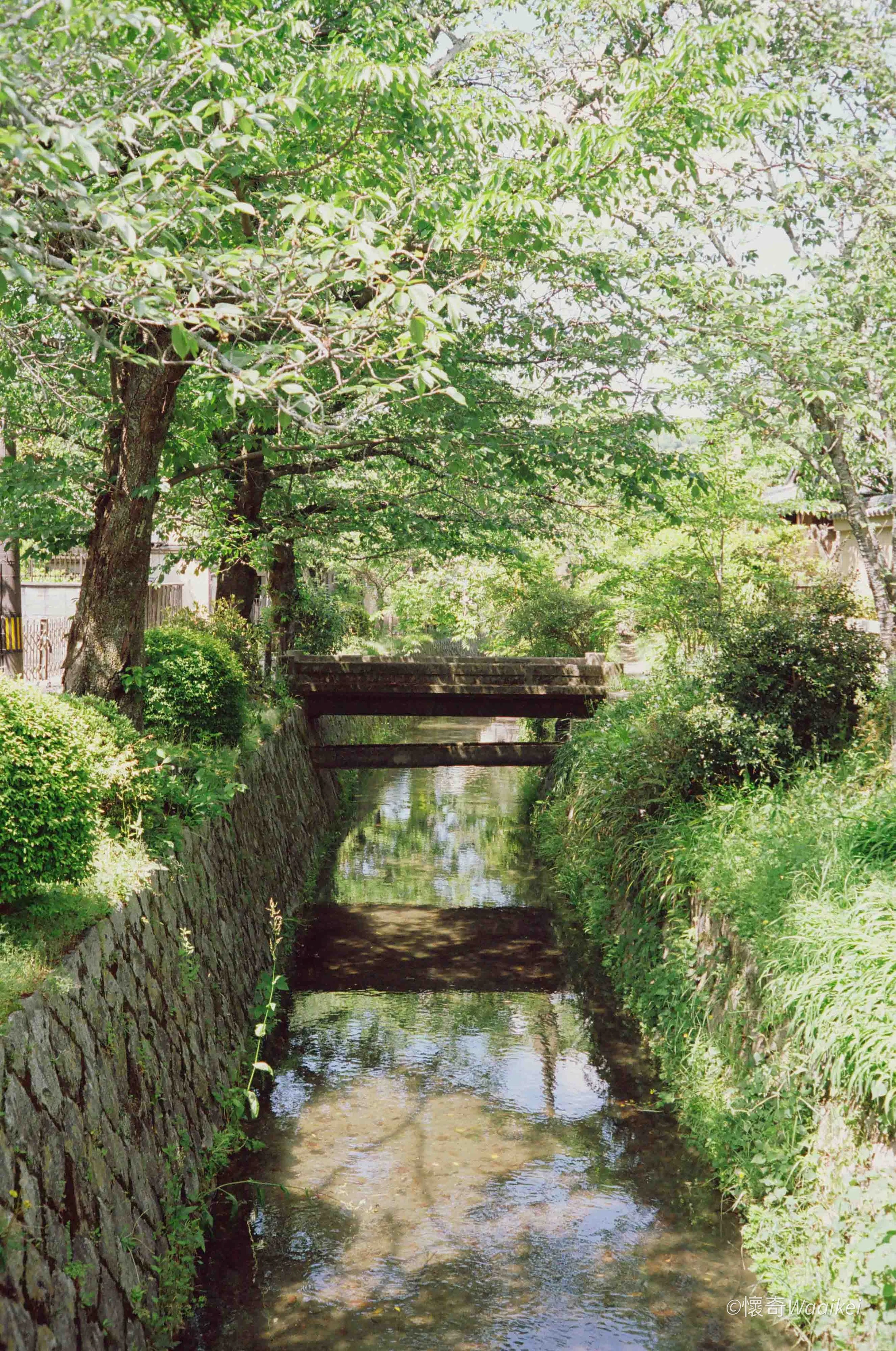 A small stream or canal running through a lush green area with trees lining both sides and a small bridge in the background.