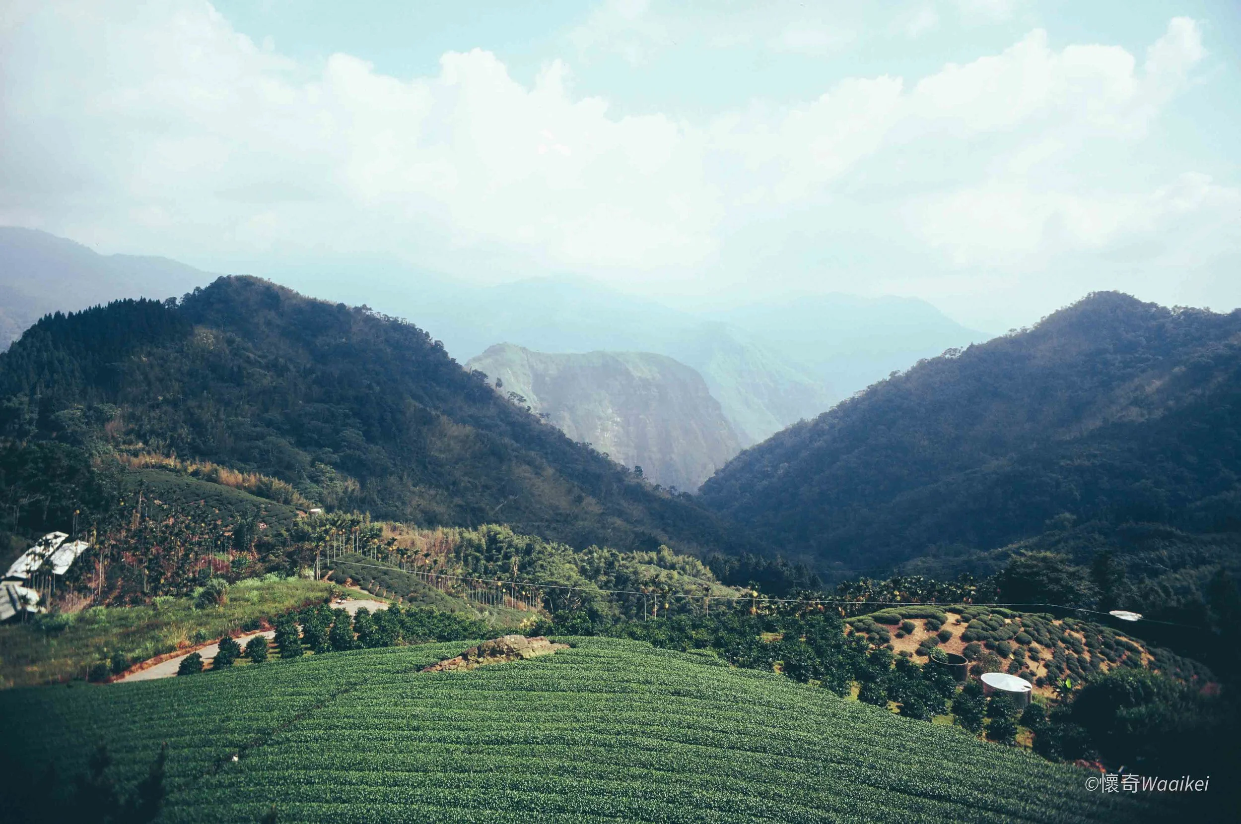 Scenic view of green terraced fields leading to forested mountains under a cloudy sky.