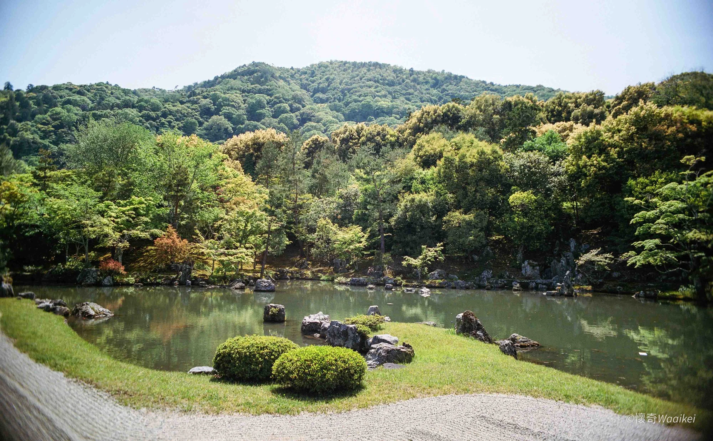 Scenic view of a lush green forested mountain with trees in various shades of green, a calm river with rocks, and a manicured grassy area in the foreground under a clear sky.