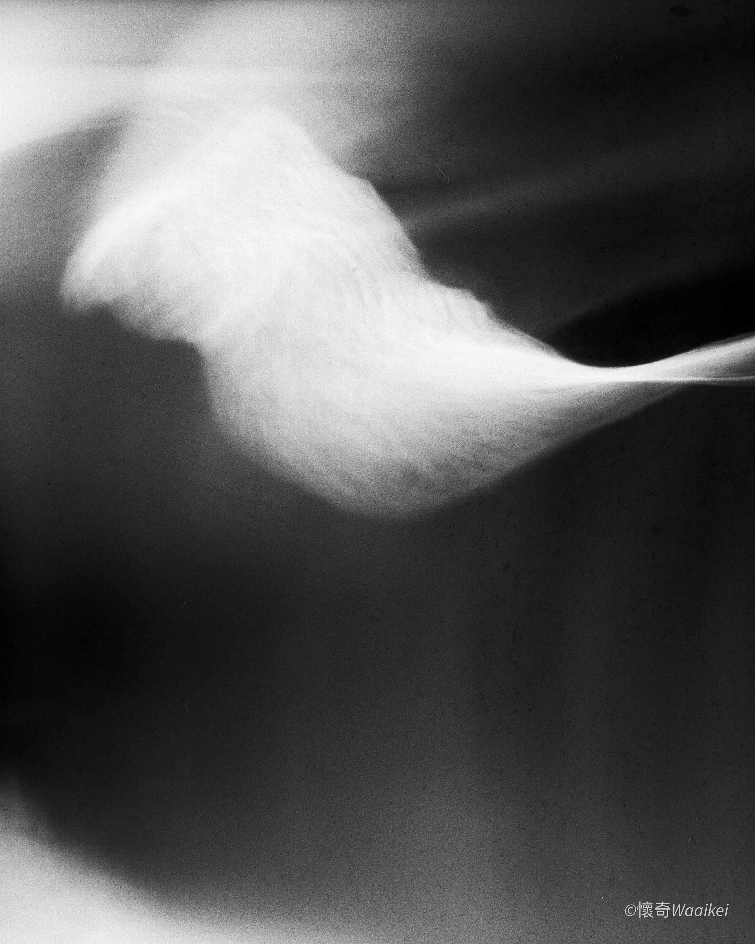 Abstract black and white photograph with smooth gradient shading and shadows.