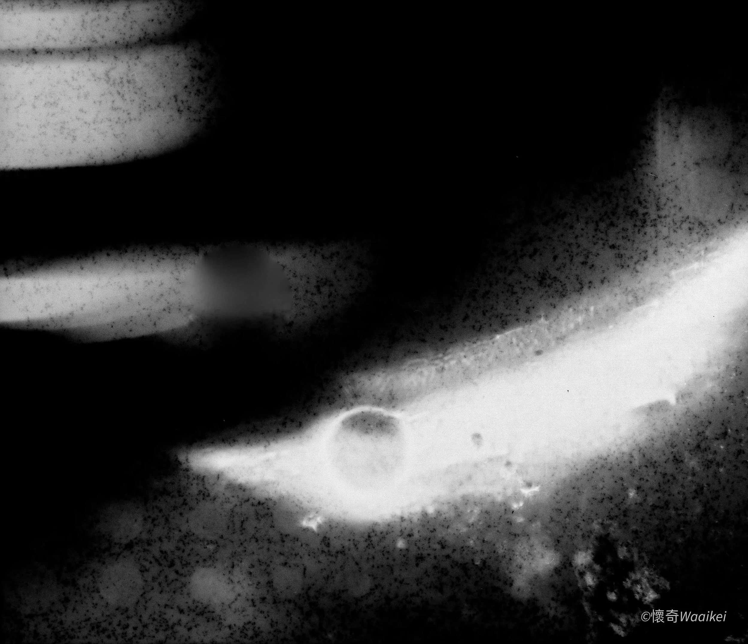 Black and white close-up photograph with abstract patterns and textures, including speckles and smooth curves, possibly a macro shot of a surface or material.