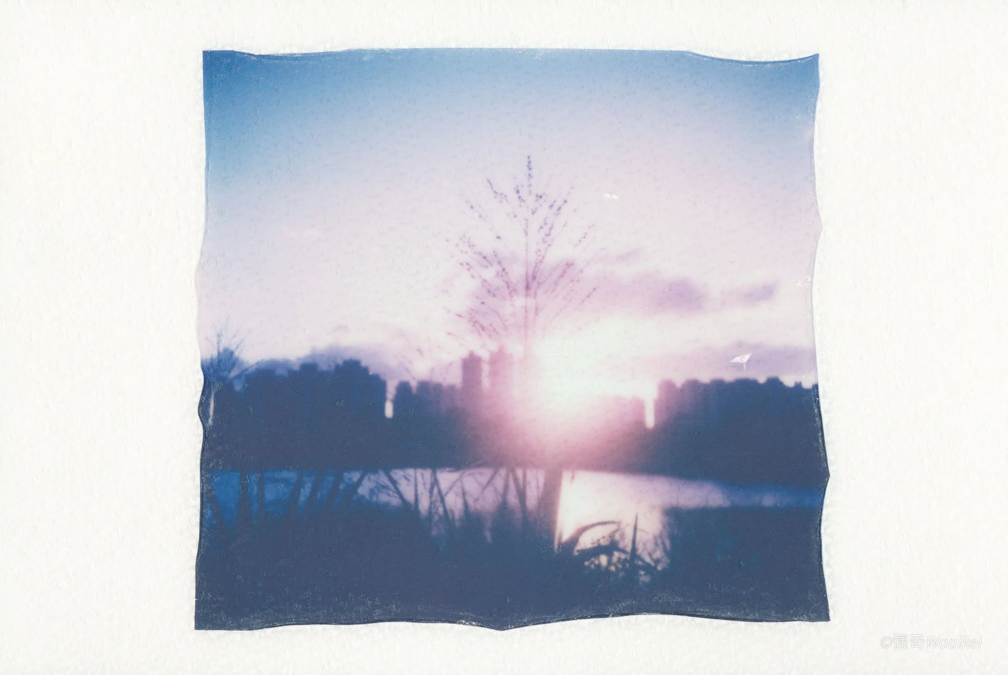 Photograph of a sunset with a silhouette of a tree and buildings in the foreground.
