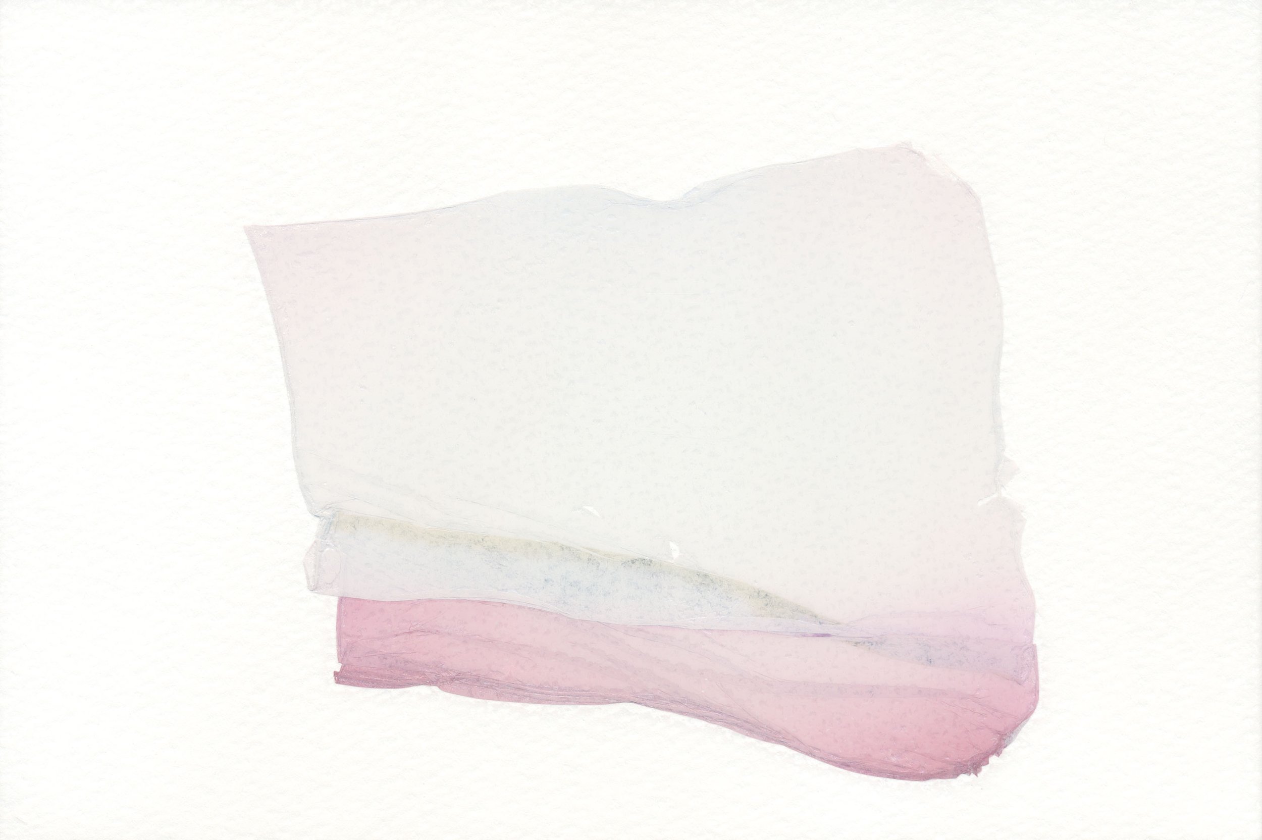 寶麗來移膜 Polaroid Emulsion Lift