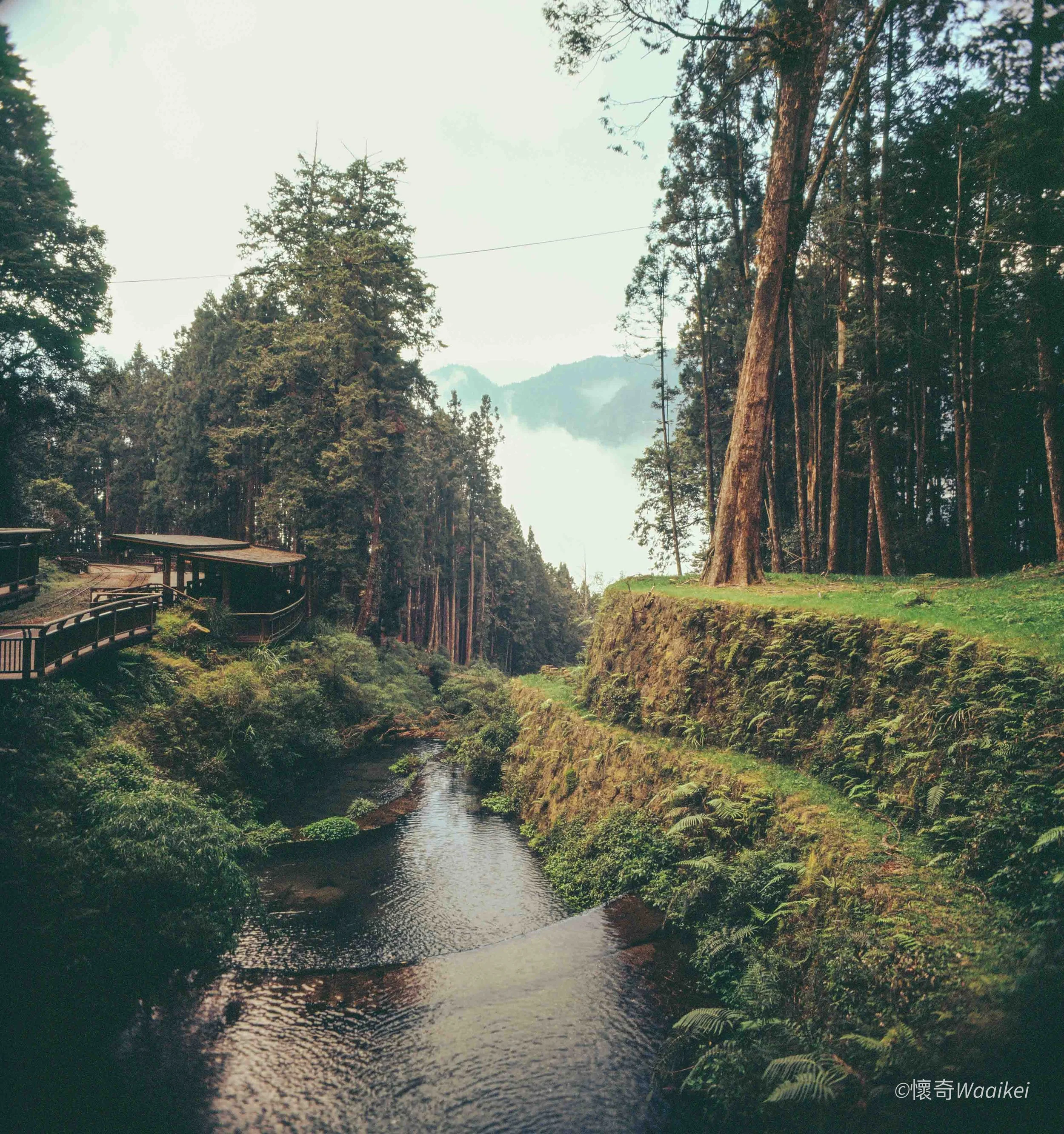 A serene river flowing through a dense, lush green forest with tall trees on either side. In the background, mountain peaks are visible under a bright, slightly overcast sky. A wooden walkway runs along the edge of the forest on the left side of the 