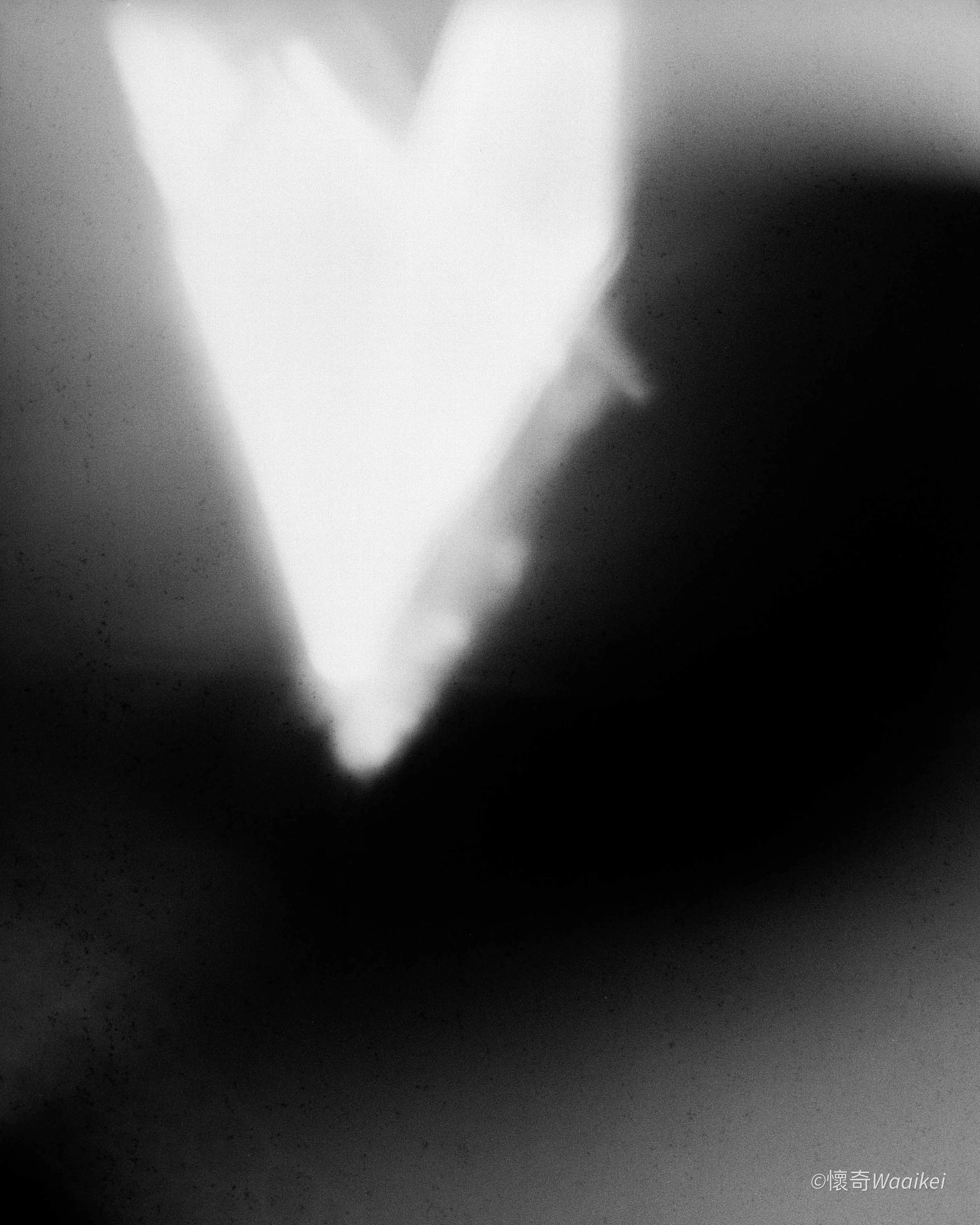 Close-up black and white photography. Butterfly of Light.