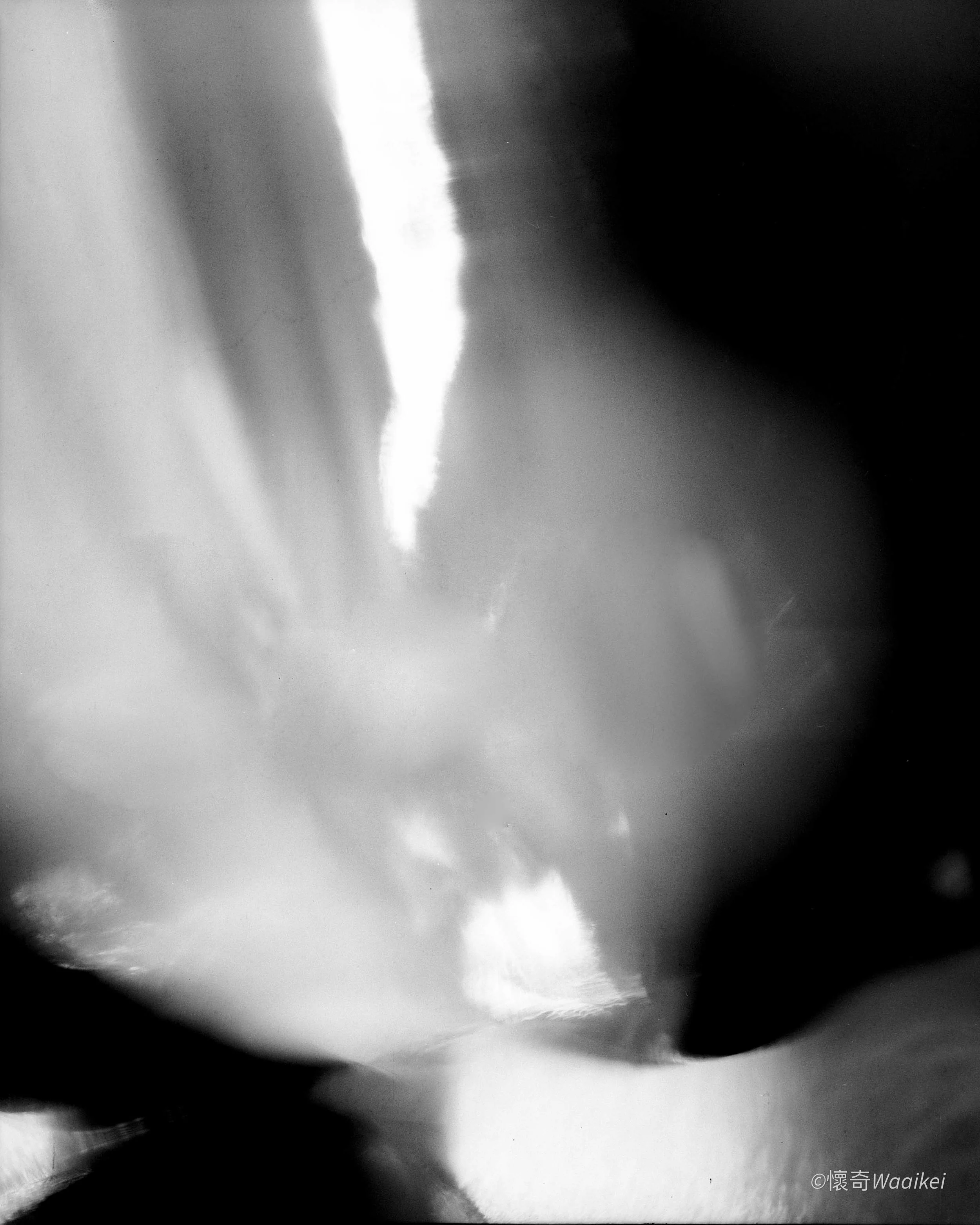 Close-up black and white photograph of a bird's silhouette with an abstract background of clouds and sky.