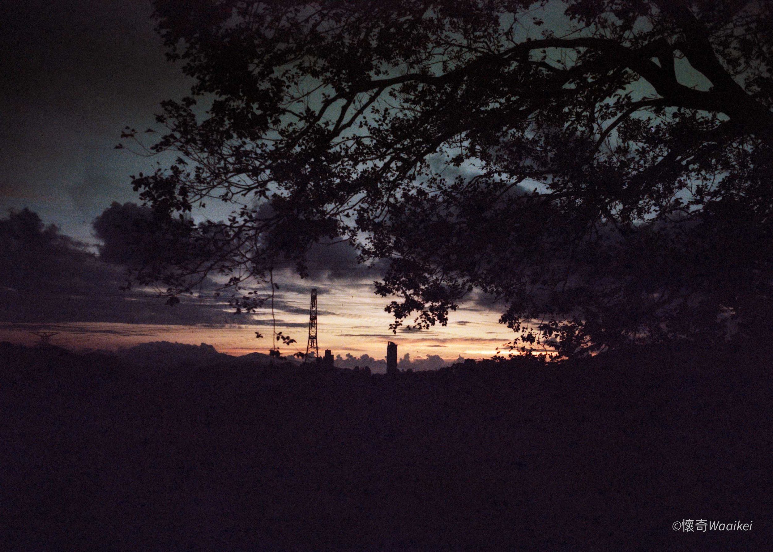 View of a sunset or sunrise with colorful sky, silhouette of trees with branches and leaves in the foreground, and a distant transmission tower or pylon.