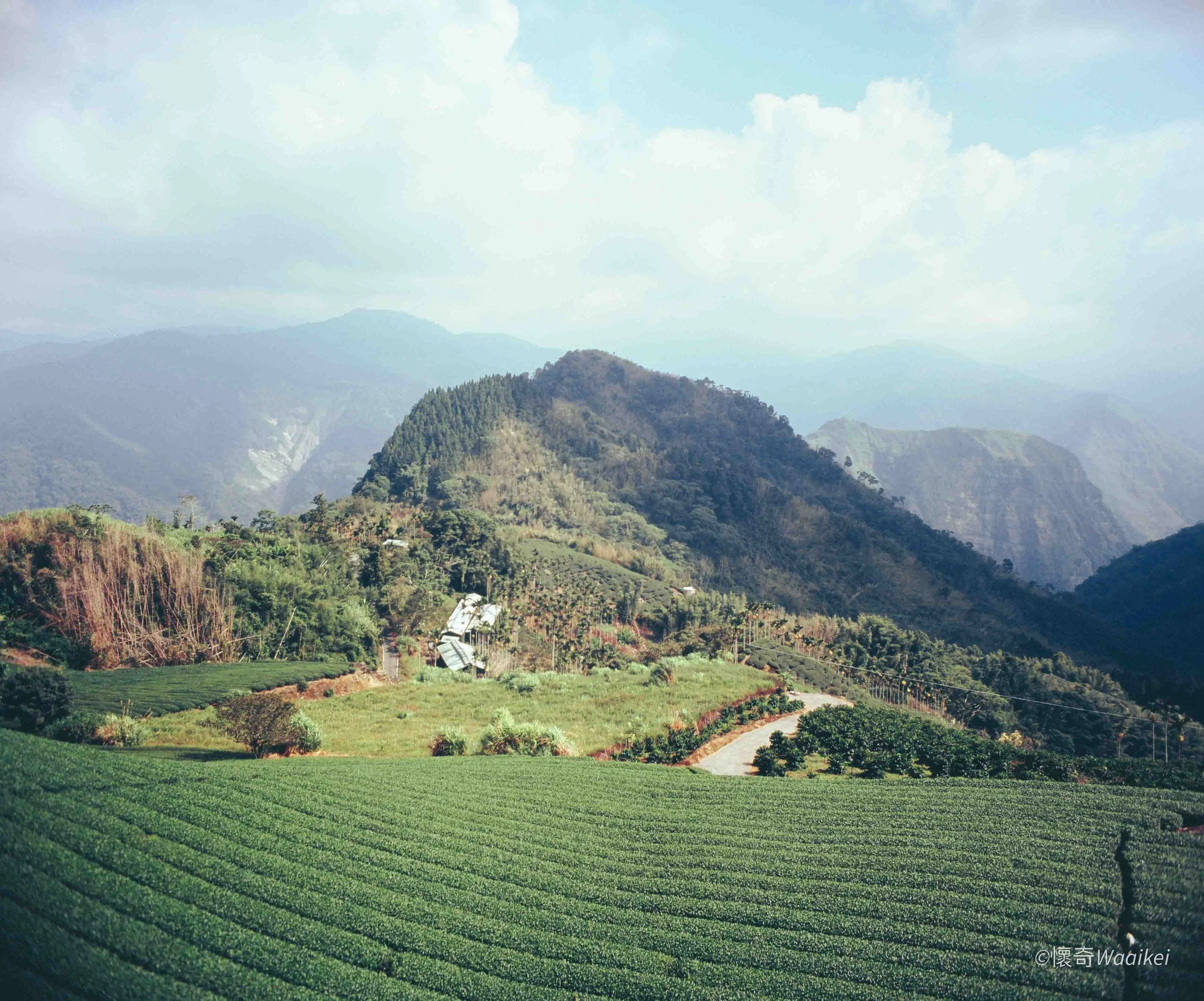 Lush green terraced fields in the foreground with a mountain range in the background under partly cloudy sky.