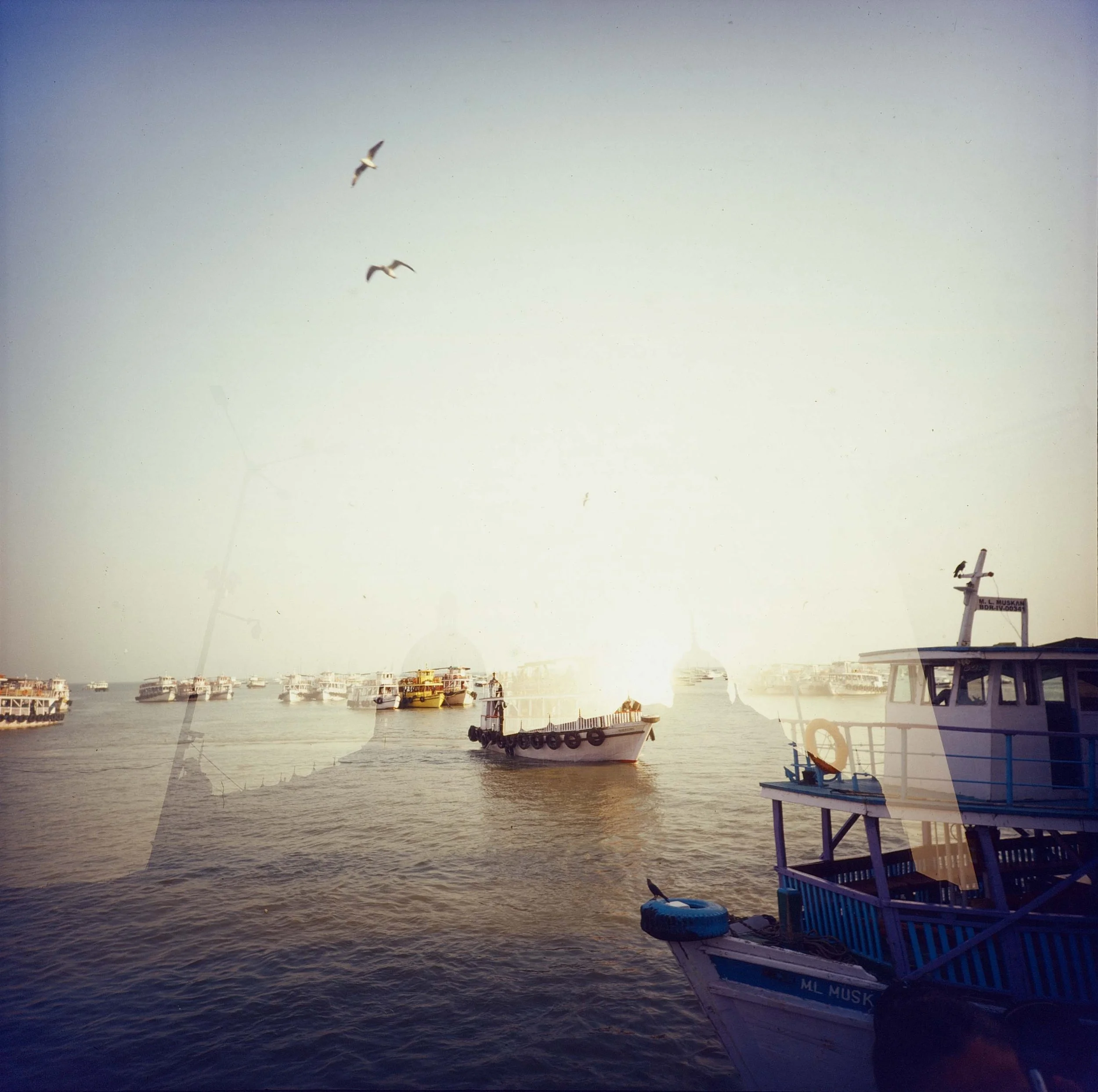 Boats docked in a harbor during sunset, with seagulls soaring in the sky and a pier visible on the right side.