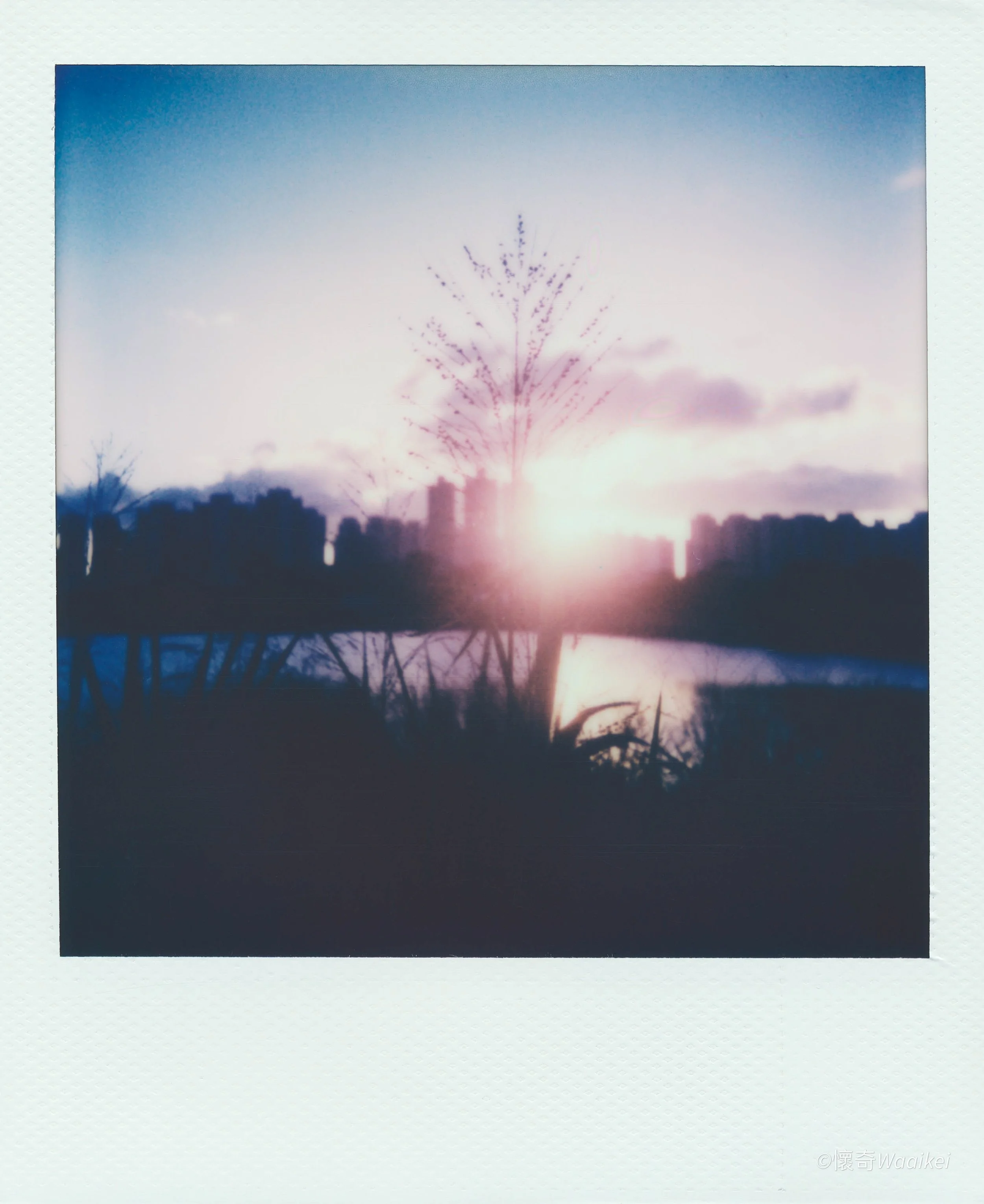 A blurry sunset or sunrise over a city skyline with trees and buildings silhouetted.