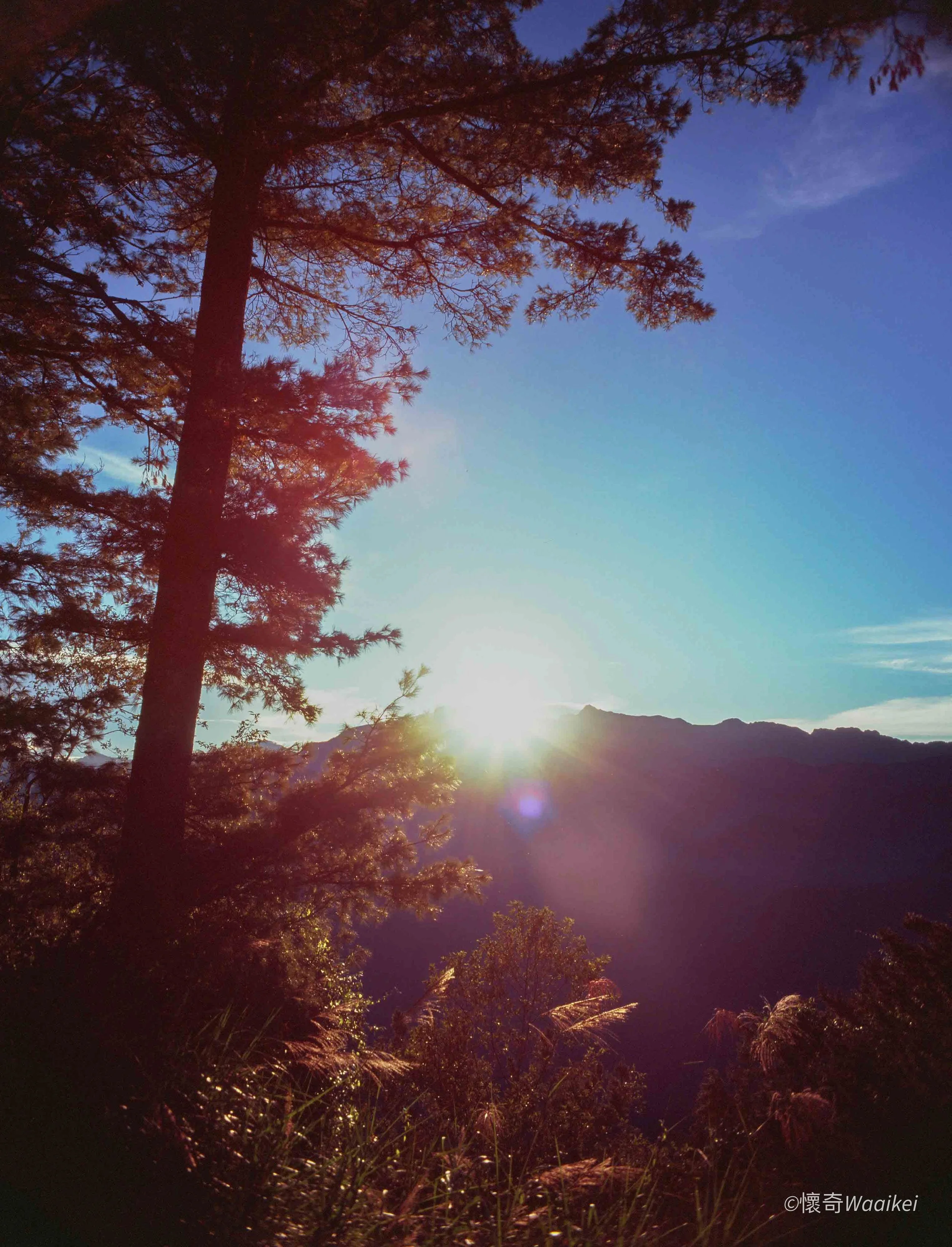 Sunset or sunrise view over mountains with trees in foreground and a bright sun near the horizon illuminating the sky with warm colors.
