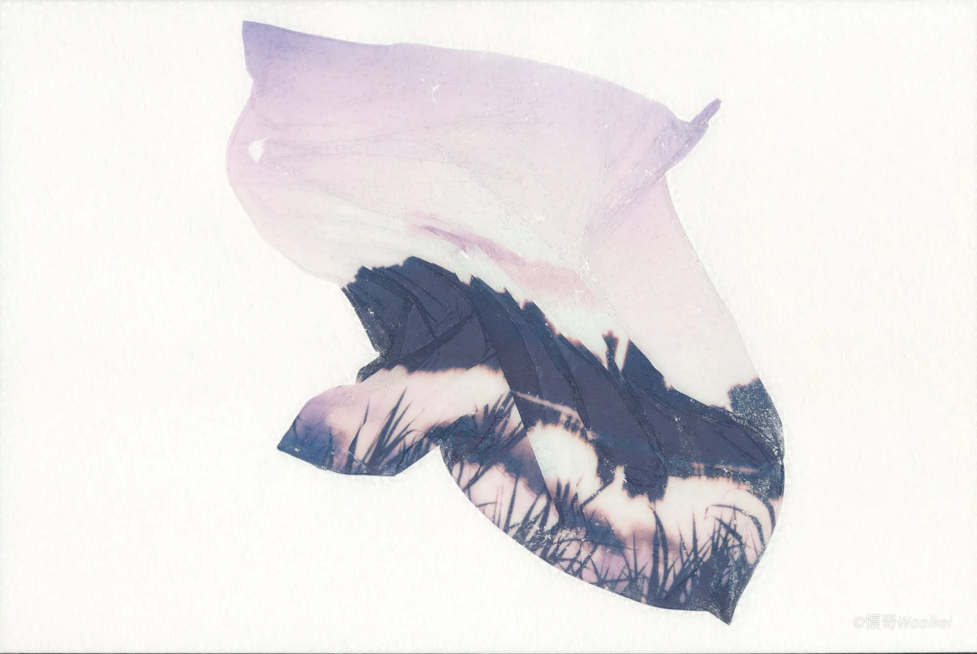 A watercolor illustration, with a minimalistic light background.