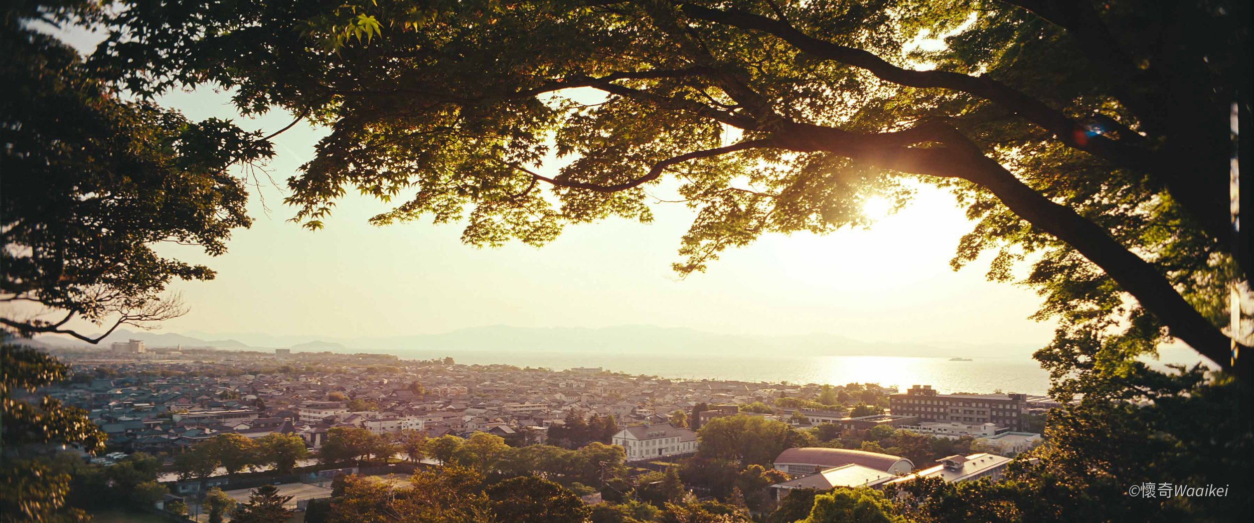 Sunset over a city viewed through trees with green foliage