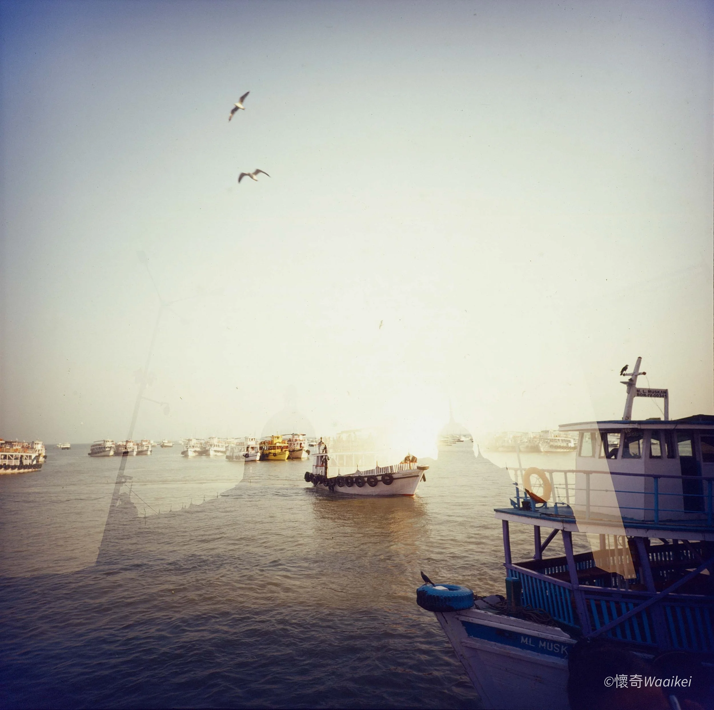 Seagulls flying over a harbor filled with boats, with a pier and a building with a sign reading 'ML MUSK' visible in the background