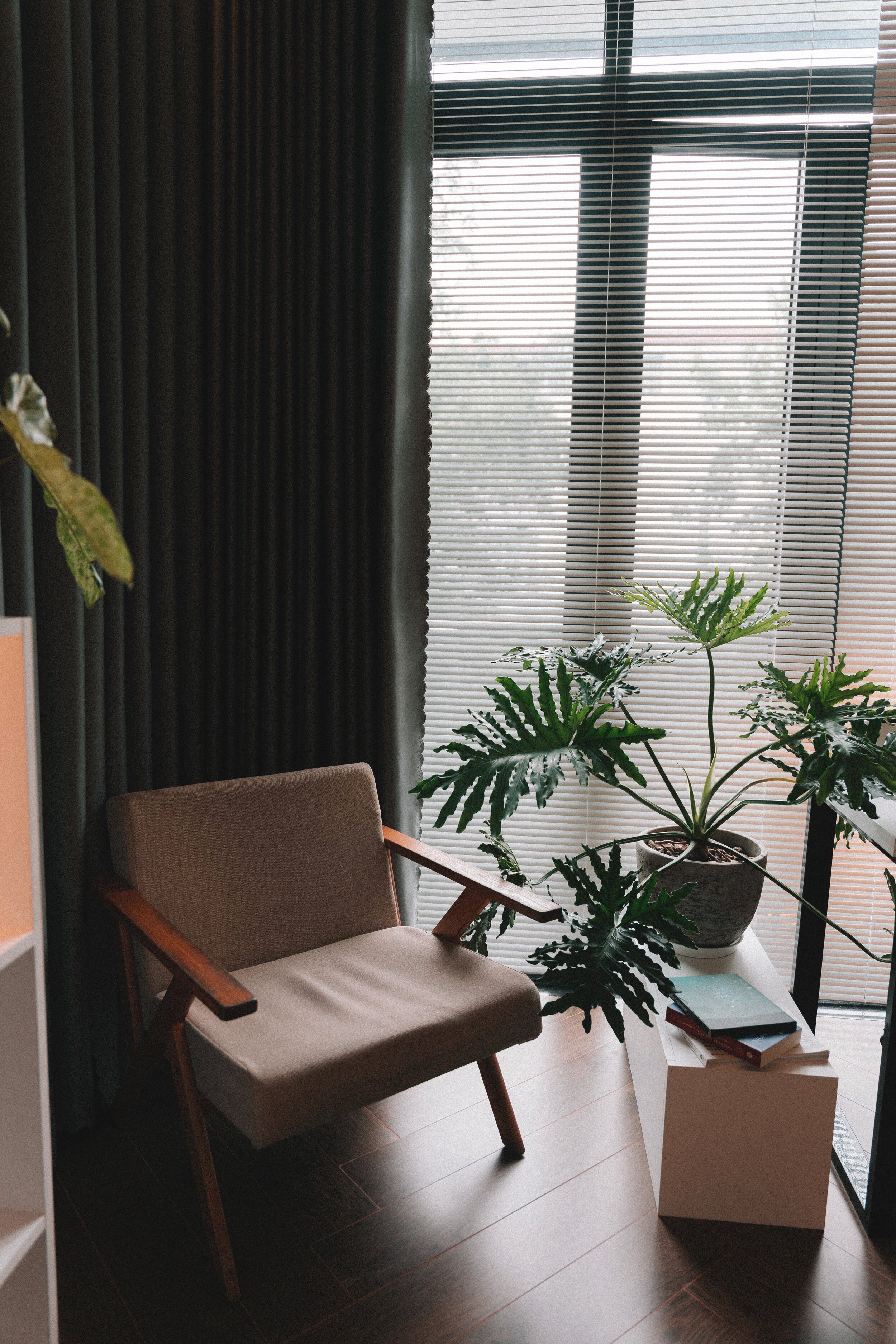 Comfortable therapy chair beside a leafy plant and sunlit window