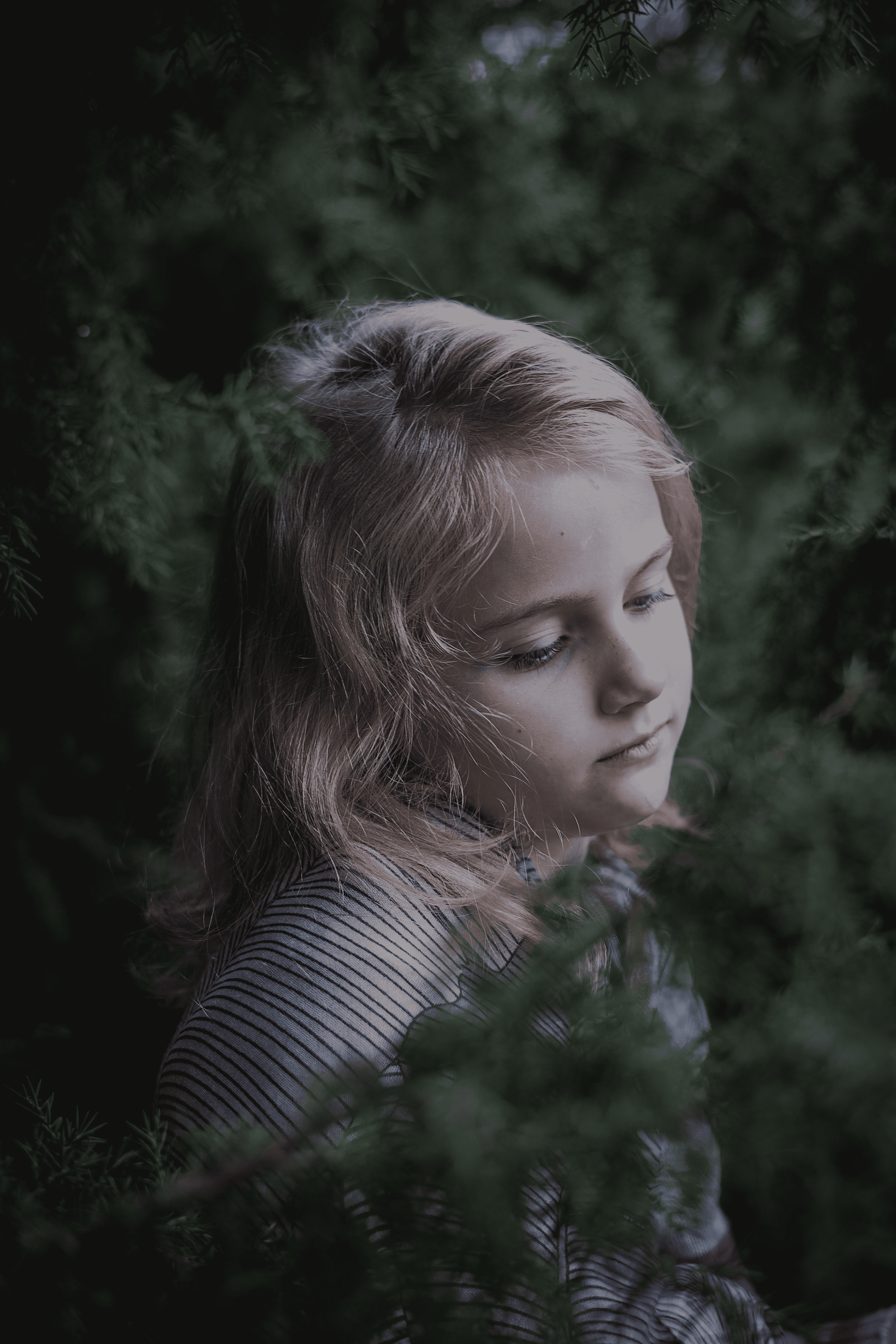 Young person looking down among evergreen branches
