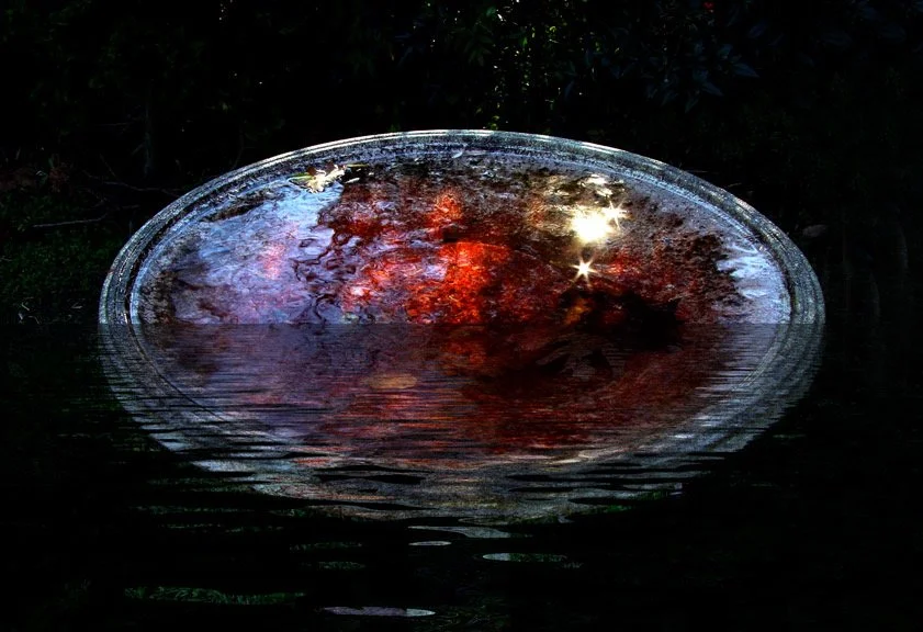 The Universe In My Birdbath