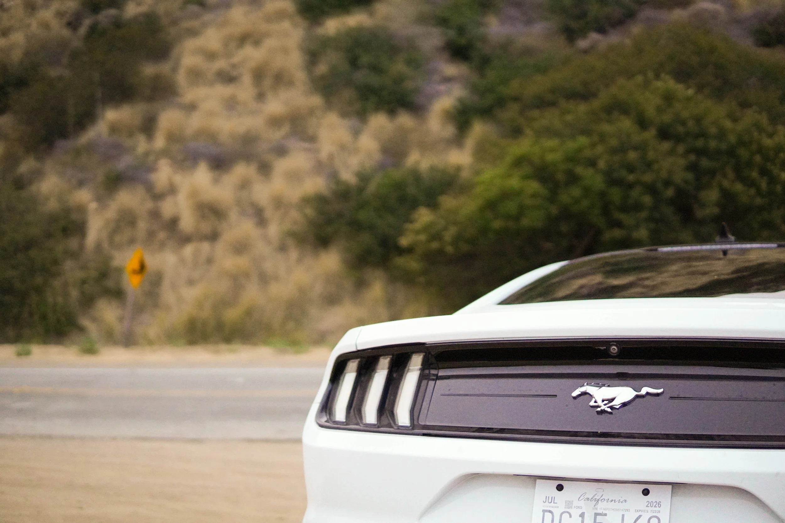 Close-up of the front end of a white Ford Mustang, showing the grille with the Mustang emblem, parked on a road with a background of trees and hills.