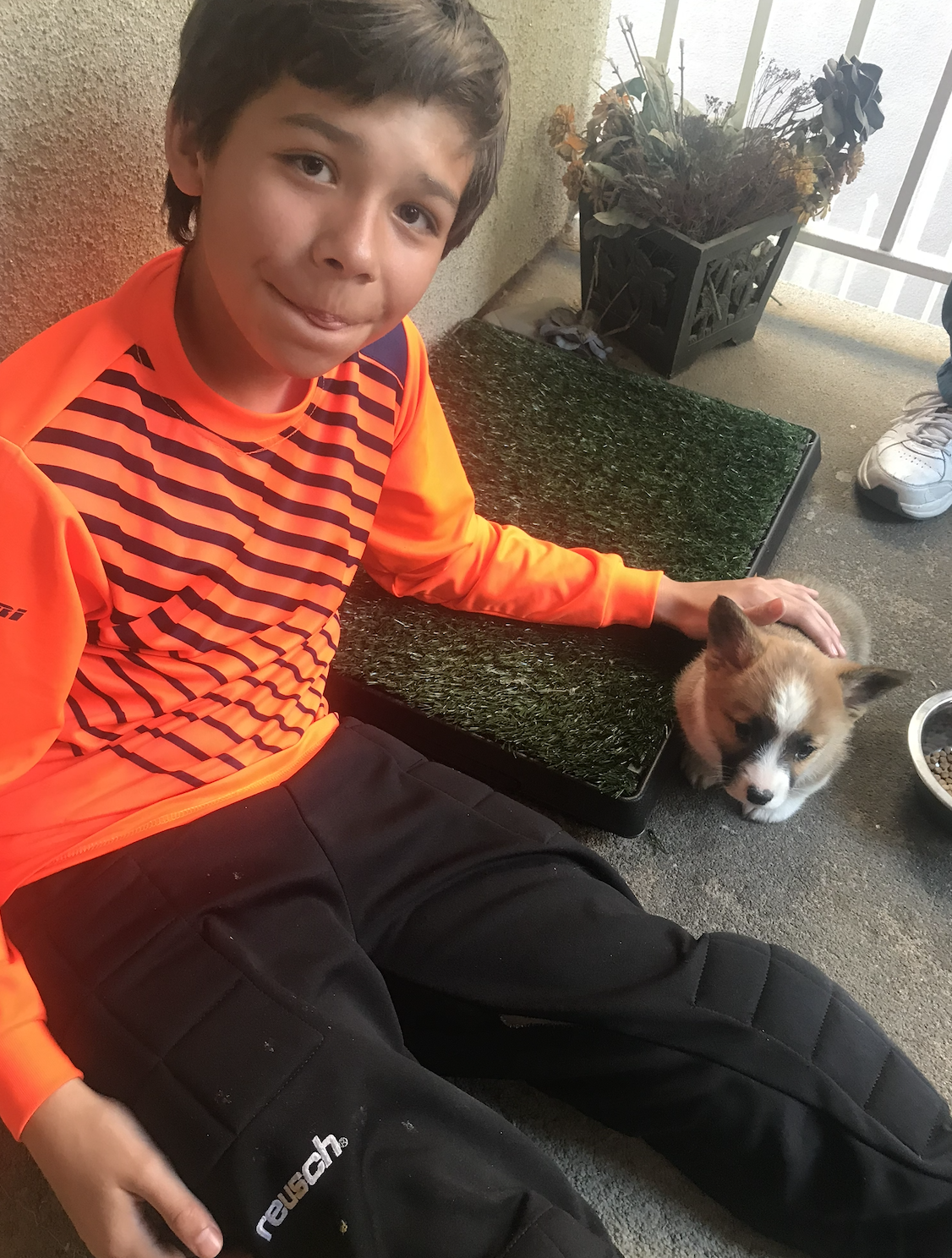 A boy in an orange and black striped athletic shirt sitting next to a puppy with a white face and brown ears, on a balcony or porch area.