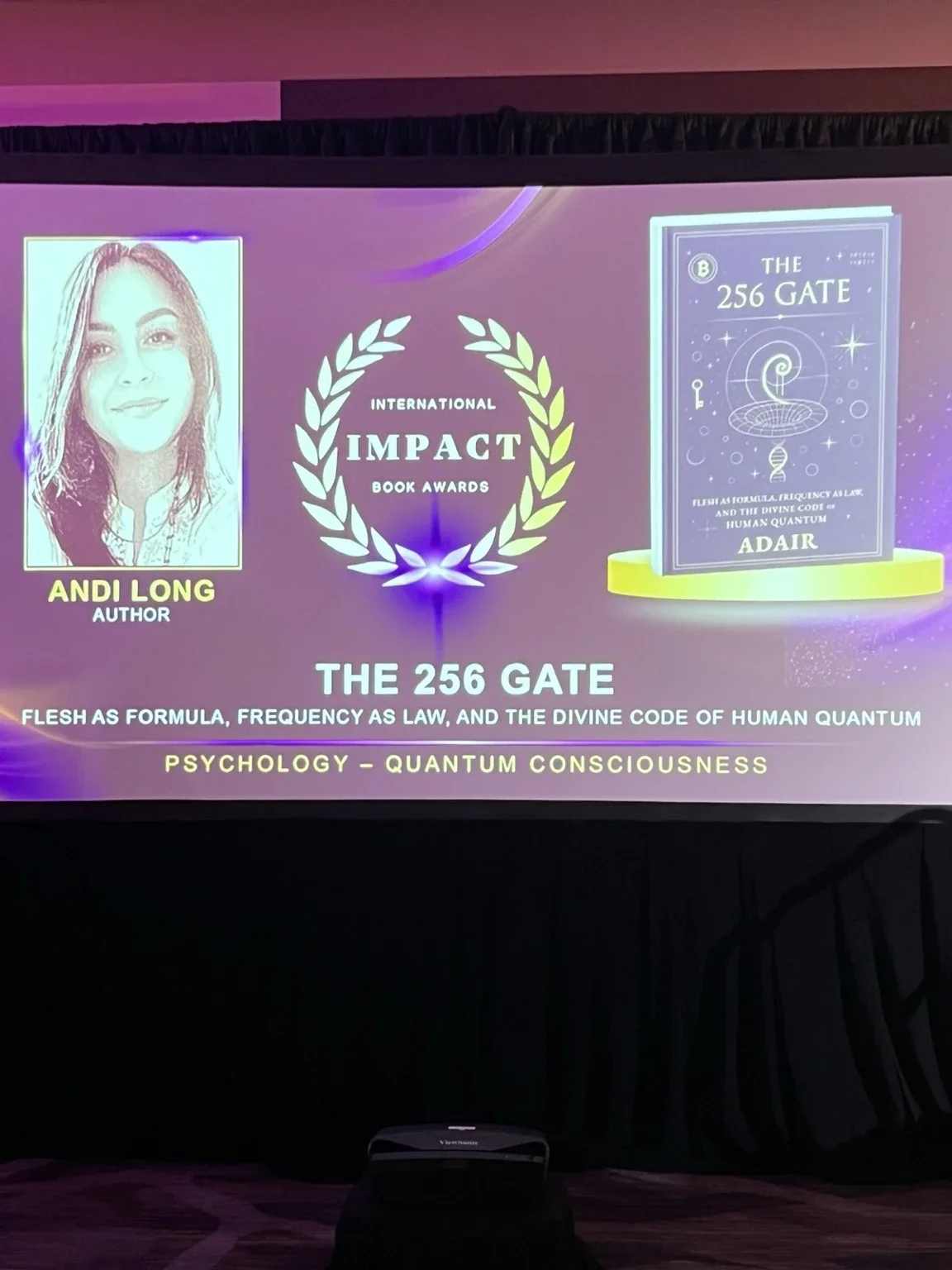 The 256 Gate and its International Impact Book Awards recognition