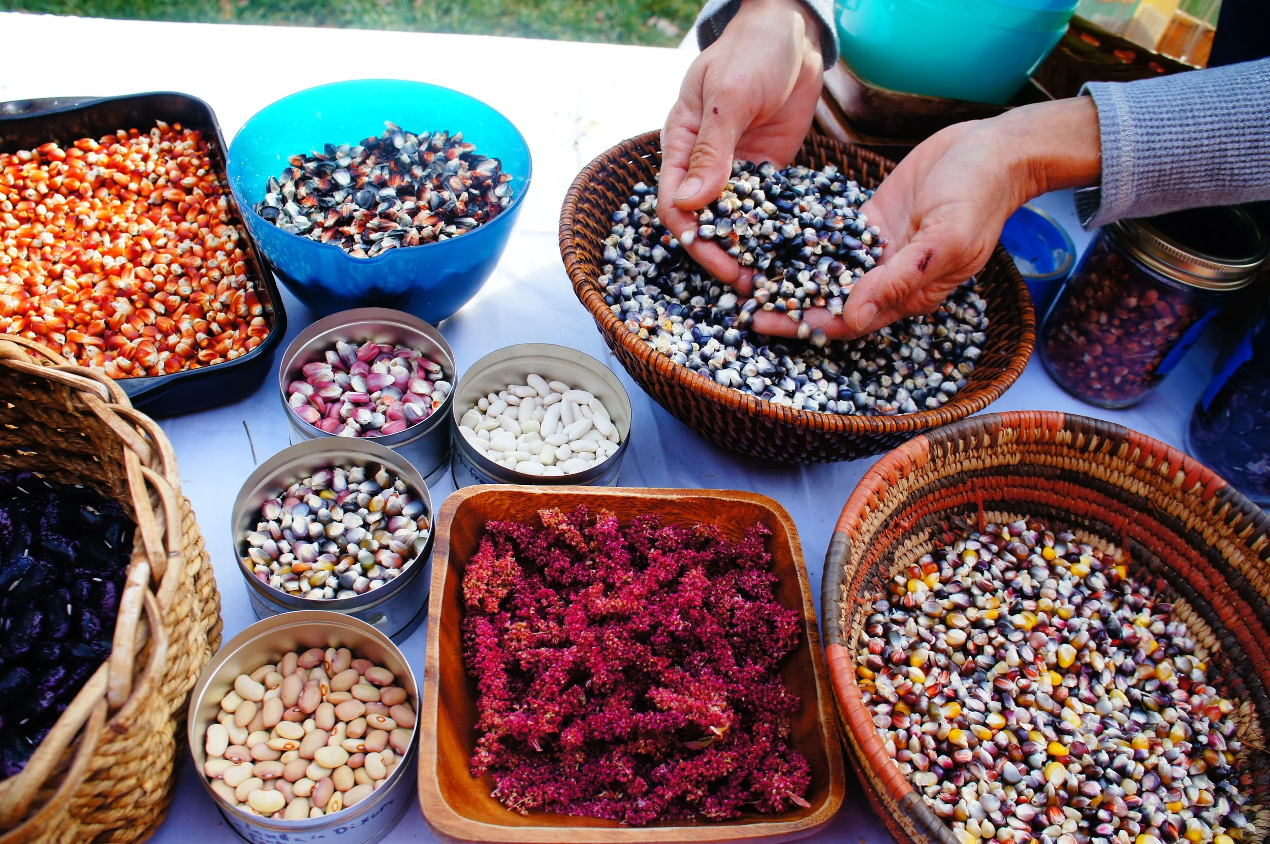 Various bowls and baskets filled with different types of dried grains, beans, and flowers at an outdoor market