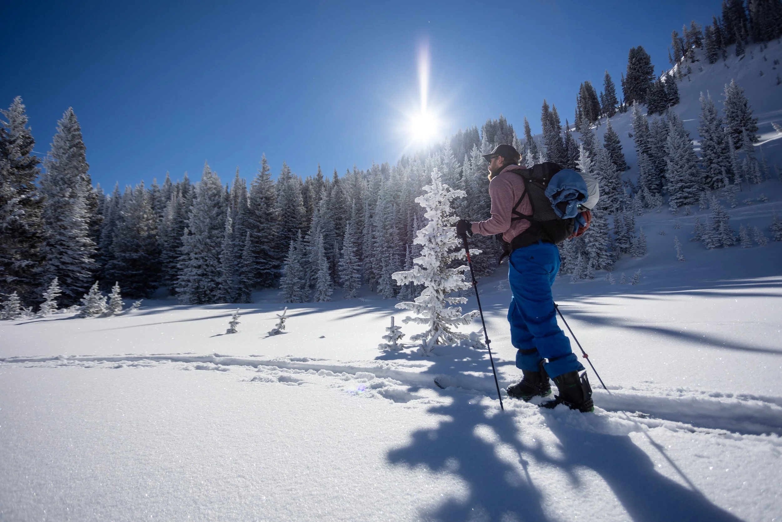 A person dressed in winter clothing standing in a snowy landscape with pine trees covered in snow, under a clear blue sky with bright sunlight.
