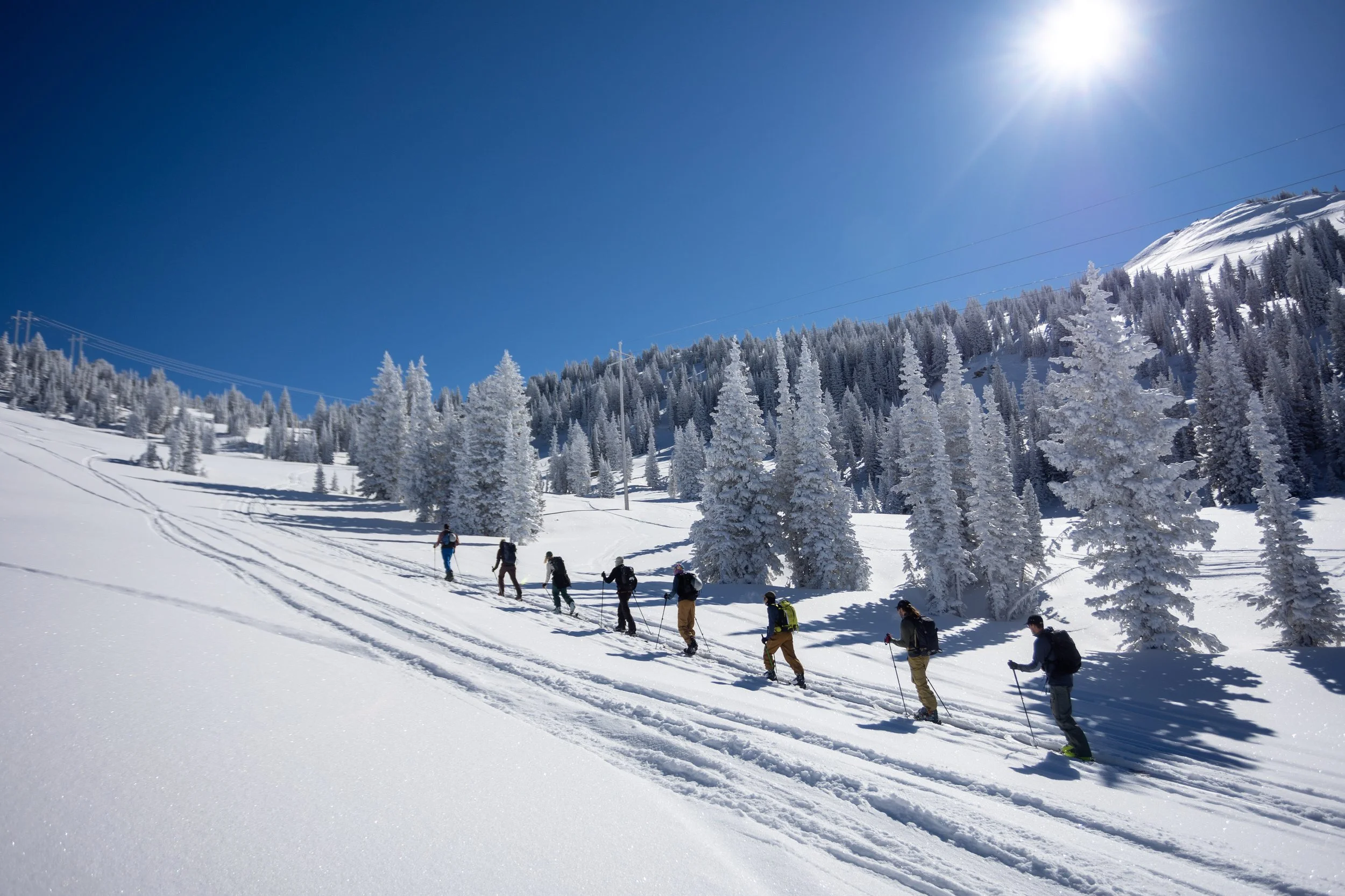 Group of people hiking in snowy mountainous landscape with snow-covered trees and clear blue sky.