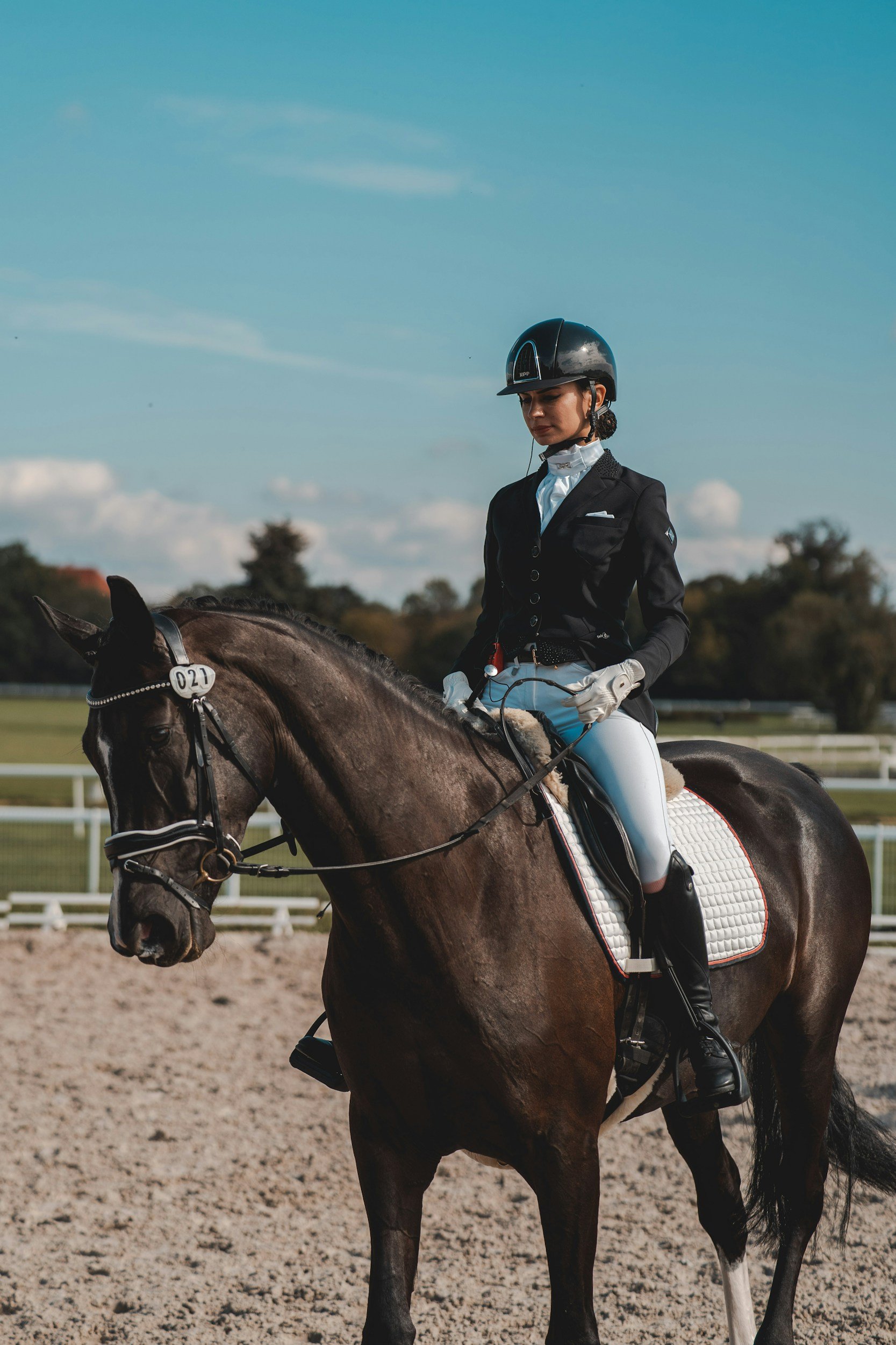 A woman dressed in formal equestrian attire, including a black riding helmet, black jacket, white shirt, white gloves, and white riding pants, sits on a brown horse with a white saddle blanket in an outdoor riding arena under a blue sky.