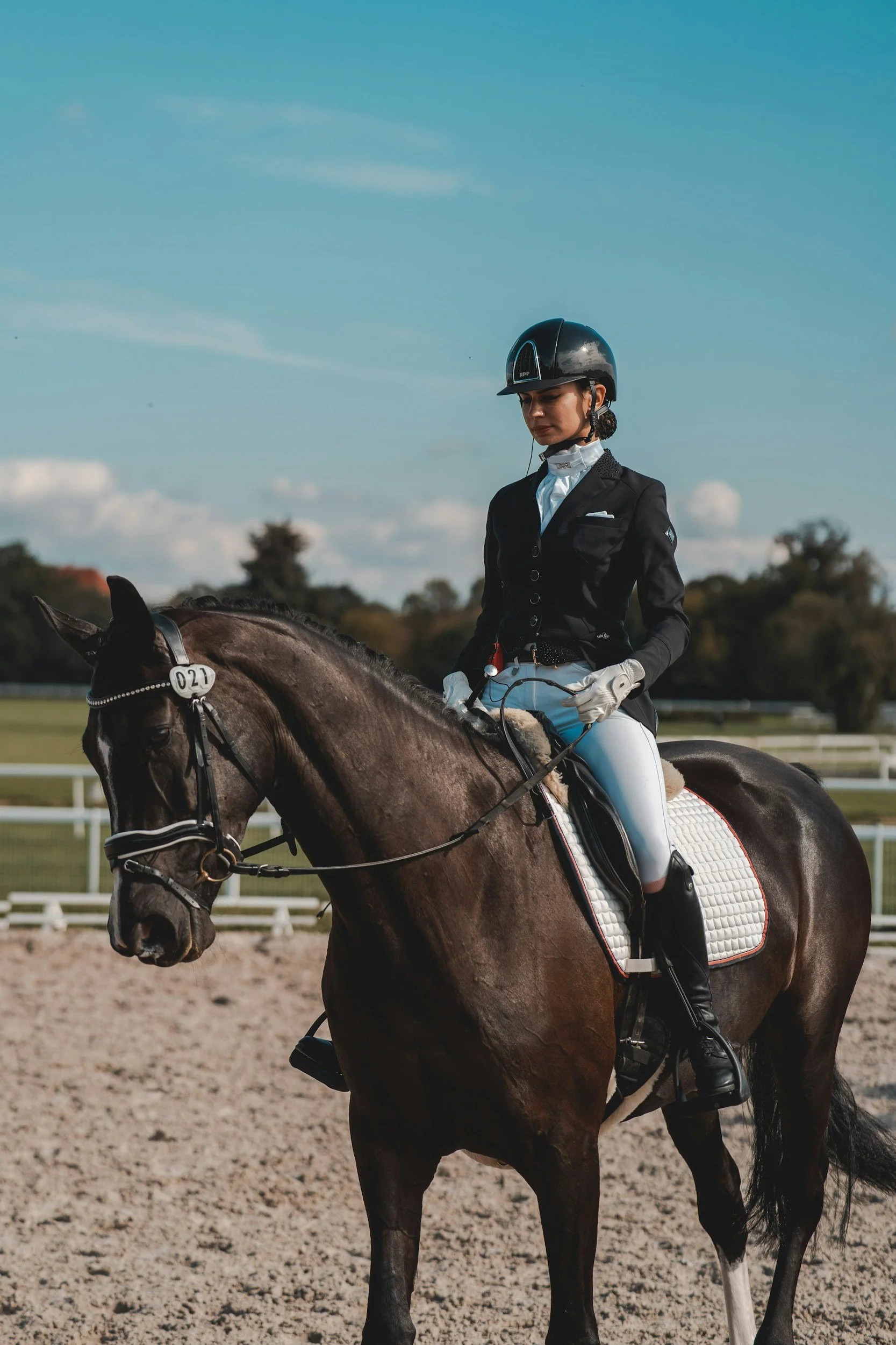 Close-up of a female equestrian rider on a brown horse with a white saddle pad, horseback riding outdoors against a blue sky with clouds.