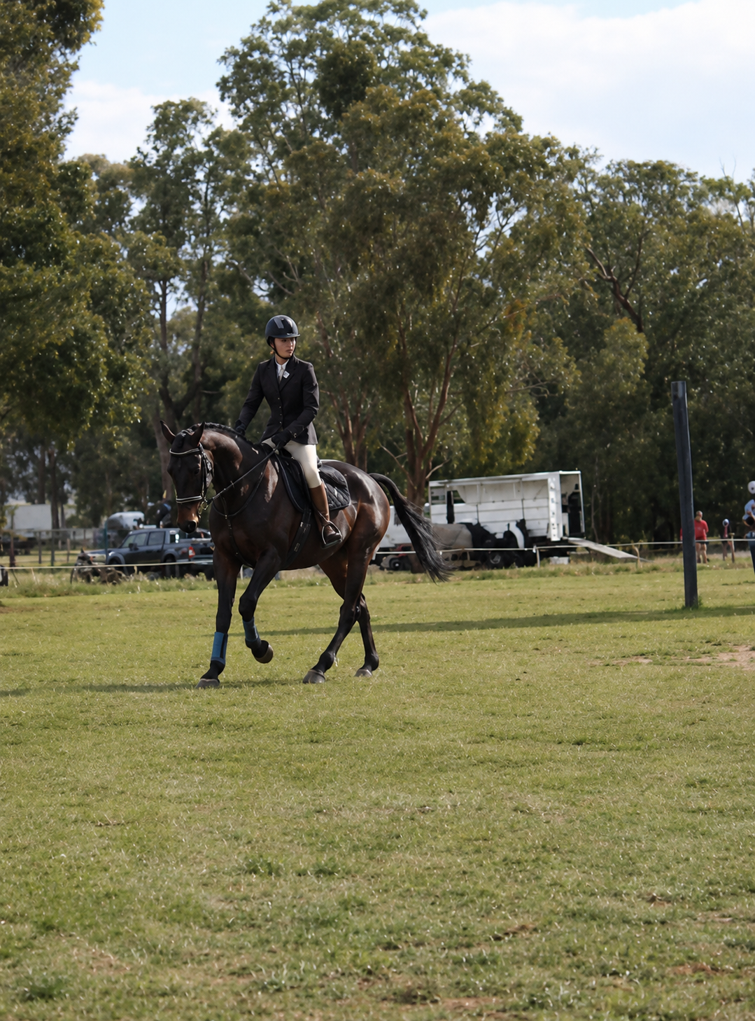 A person dressed in equestrian attire riding a dark brown horse in a grassy field with trees in the background.