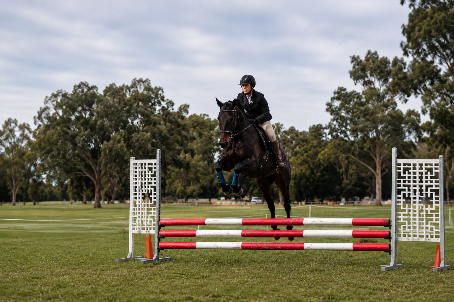A rider on a dark horse jumping over a red and white obstacle during an equestrian event, set in a grassy field with trees and cloudy sky in the background.