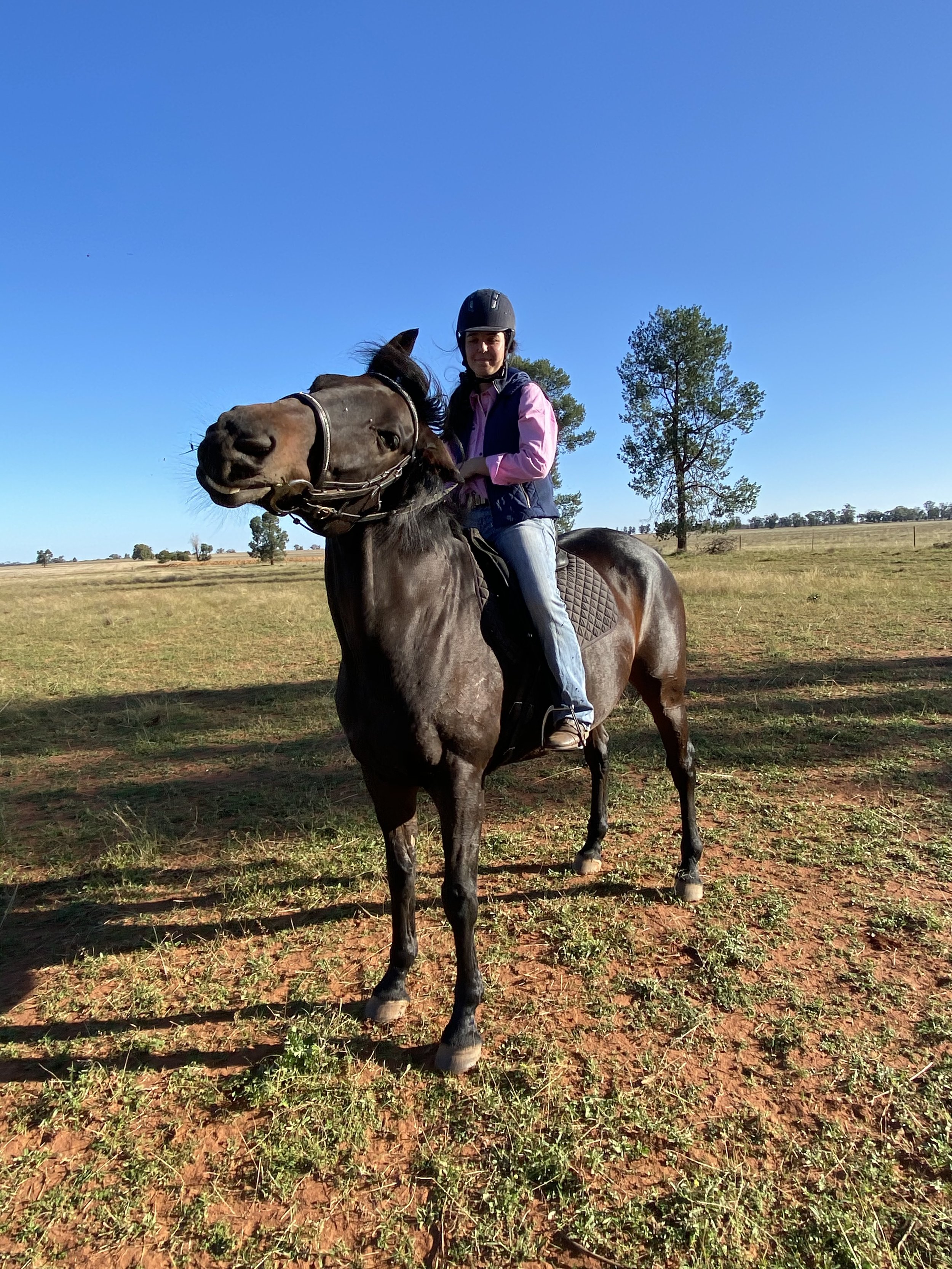 A woman wearing a helmet and riding clothes sitting on a horse in a grassy field with a few trees and a clear blue sky in the background.