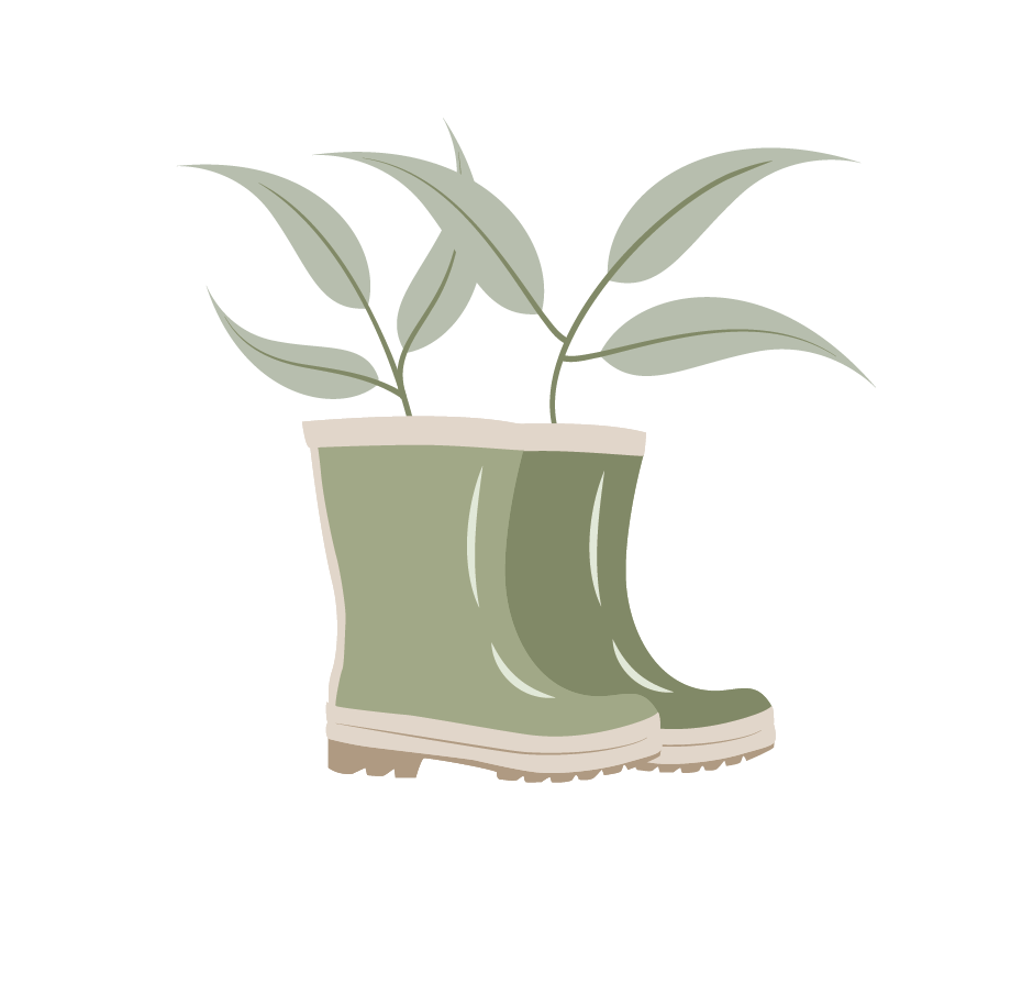 Drawing of a pair of green rain boots filled with a plant with elongated leaves.
