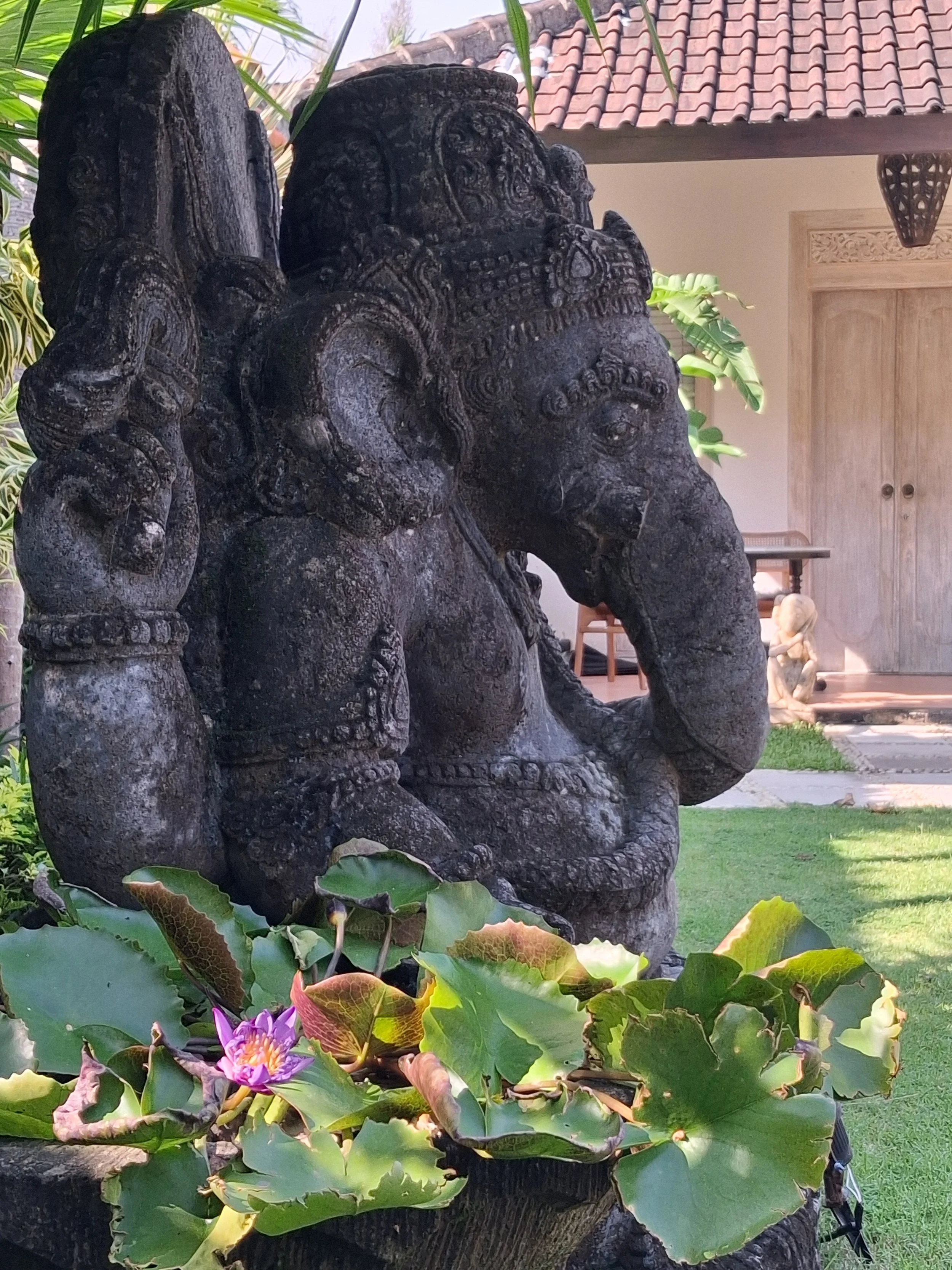 Stone sculpture of Ganesha, the Hindu elephant-headed god, surrounded by lotus flowers and greenery in a garden.