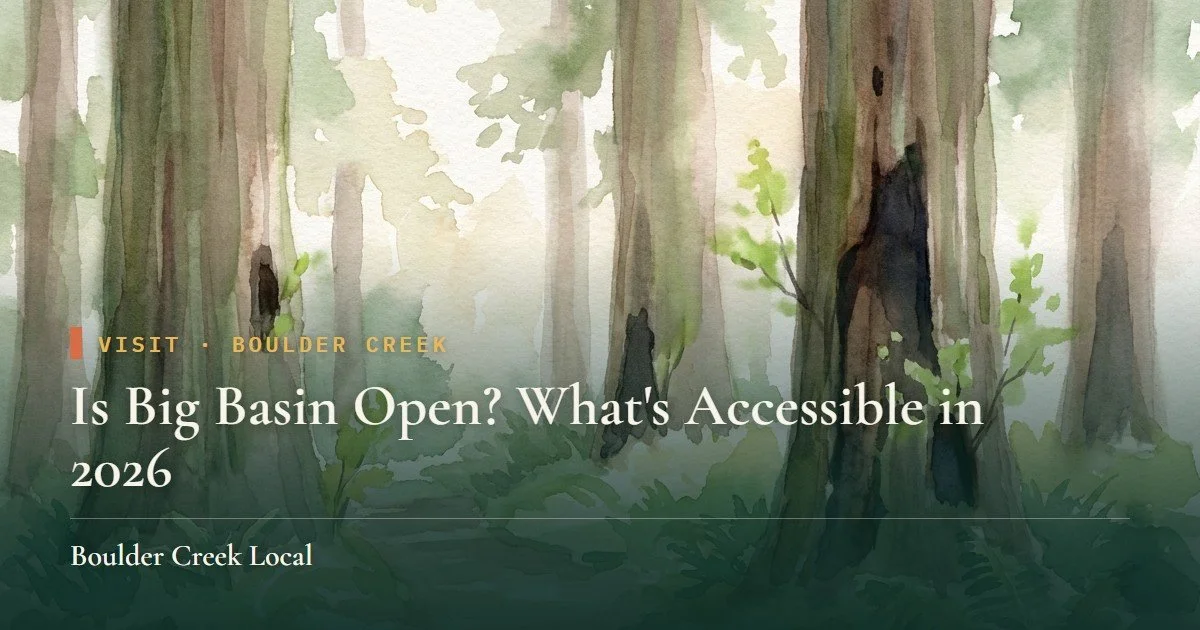 Is Big Basin Open? What's Accessible in 2026