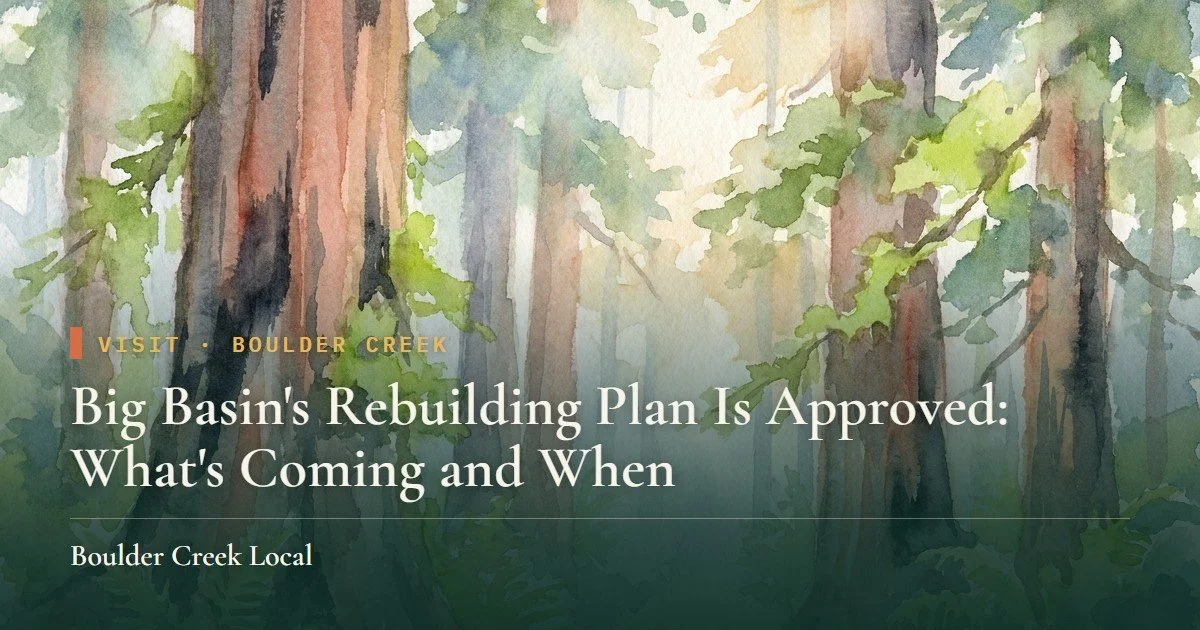 Big Basin's Rebuilding Plan Is Approved: What's Coming and When