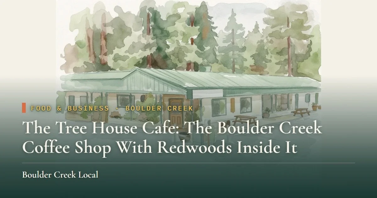 The Tree House Cafe: The Boulder Creek Coffee Shop With Redwoods Inside It
