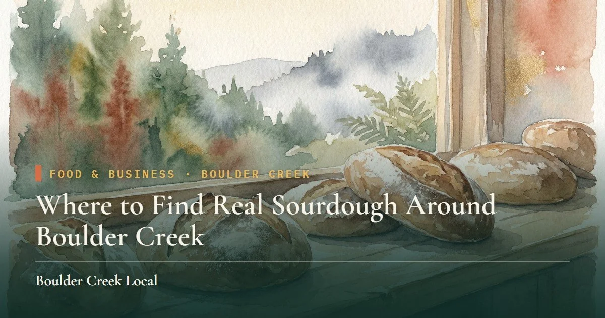 Where to Find Real Sourdough Around Boulder Creek