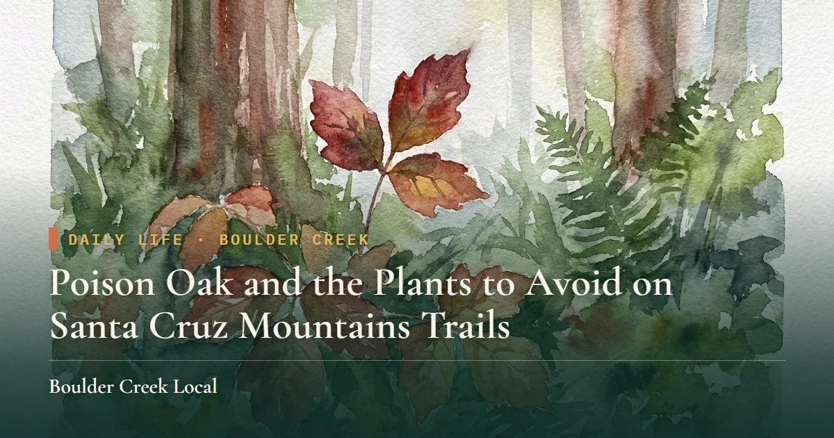 Poison Oak and the Plants to Avoid on Santa Cruz Mountains Trails