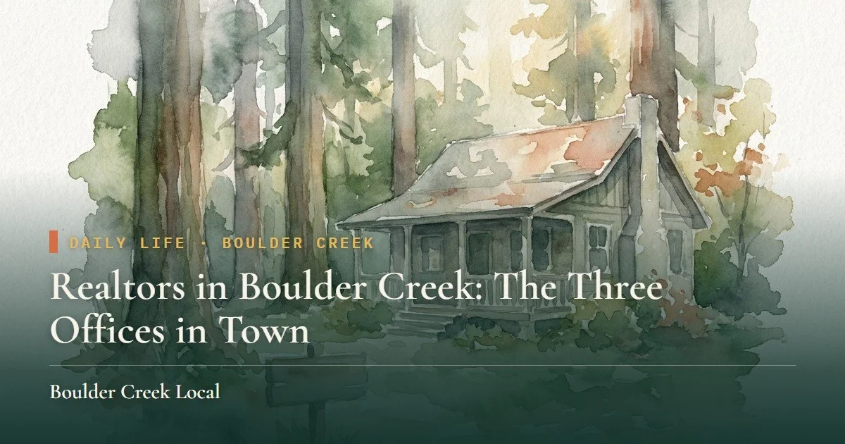 Realtors in Boulder Creek: How to Choose a Mountain Agent